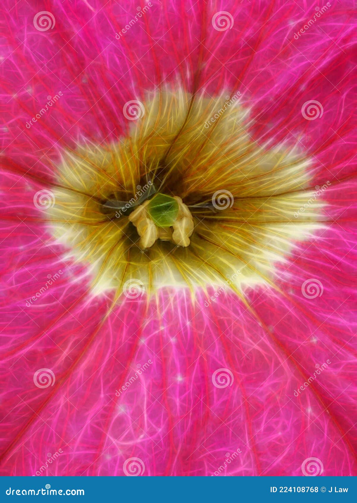 closeup of red and yellow gold flower bloom with vein pattern and showing intricate center