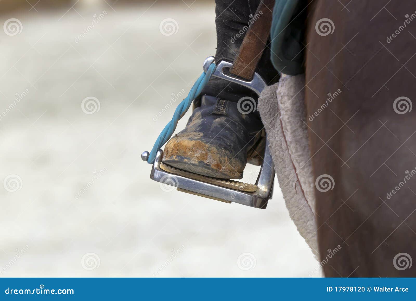Closeup of a Riding Stirrup Stock Photo Image of equestrian
