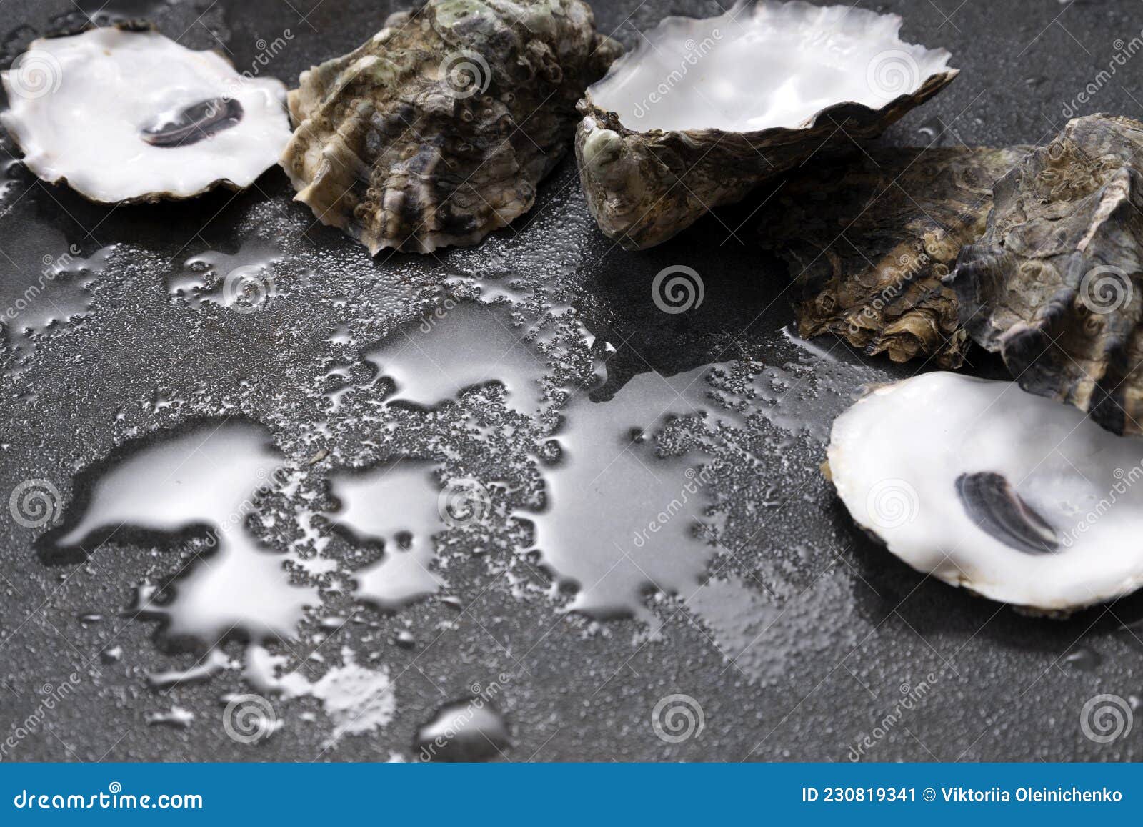 closeup of row of empty oysters on the water and grey rock surface.empty space