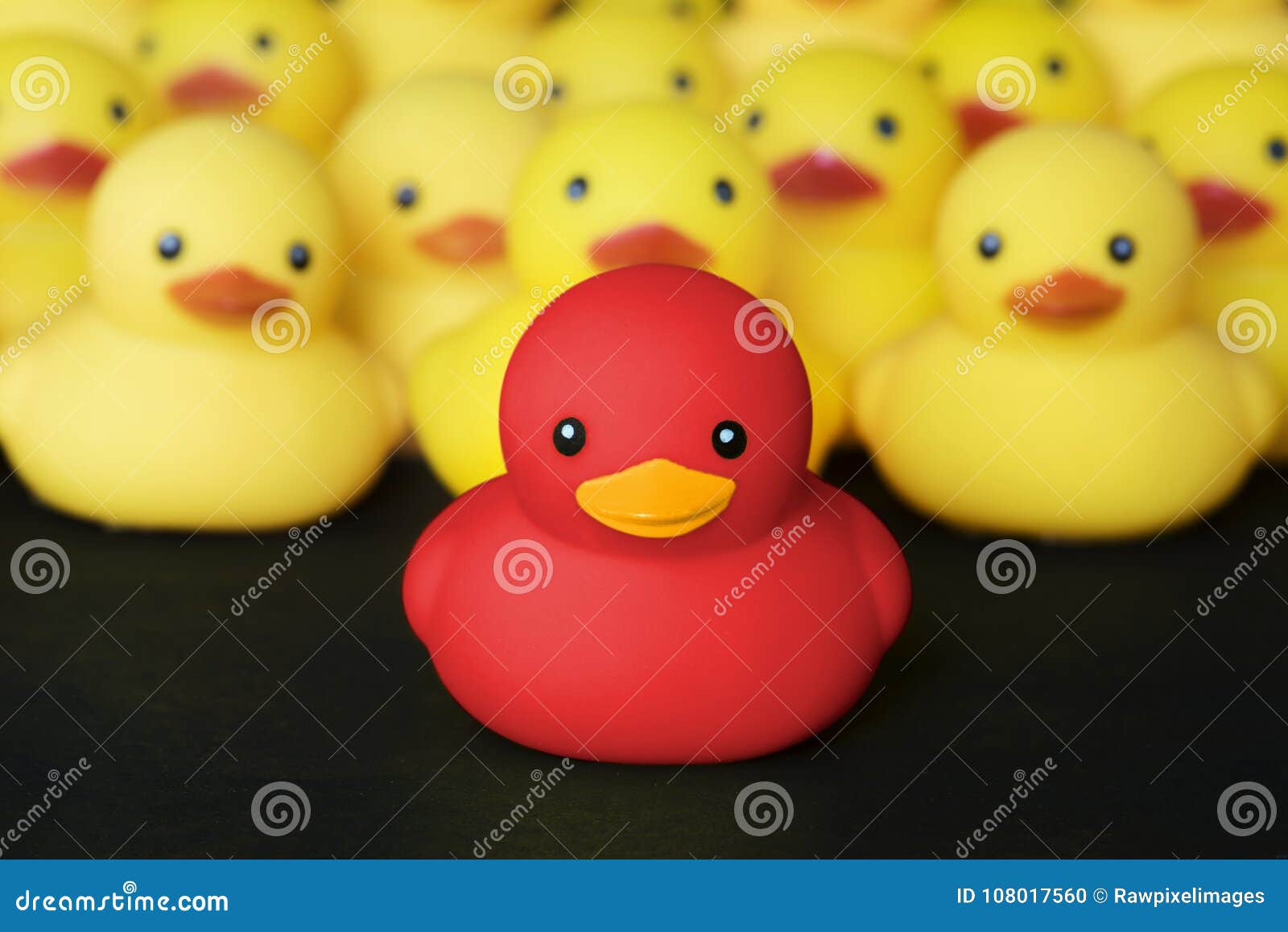 closeup of rubber duckies with leadership