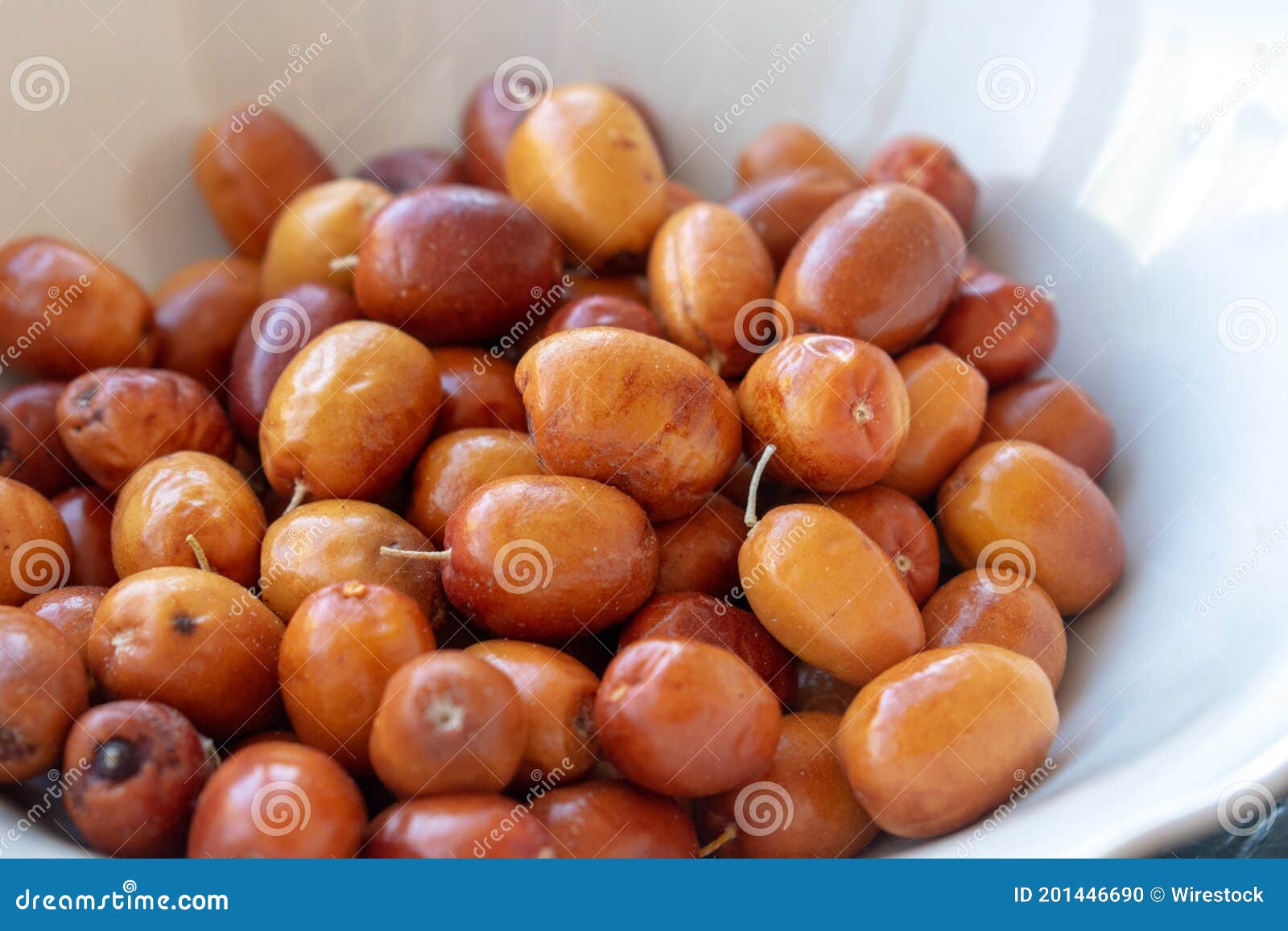 Closeup of Russian Olive Fruits in a Bow Under the Lights Stock Photo
