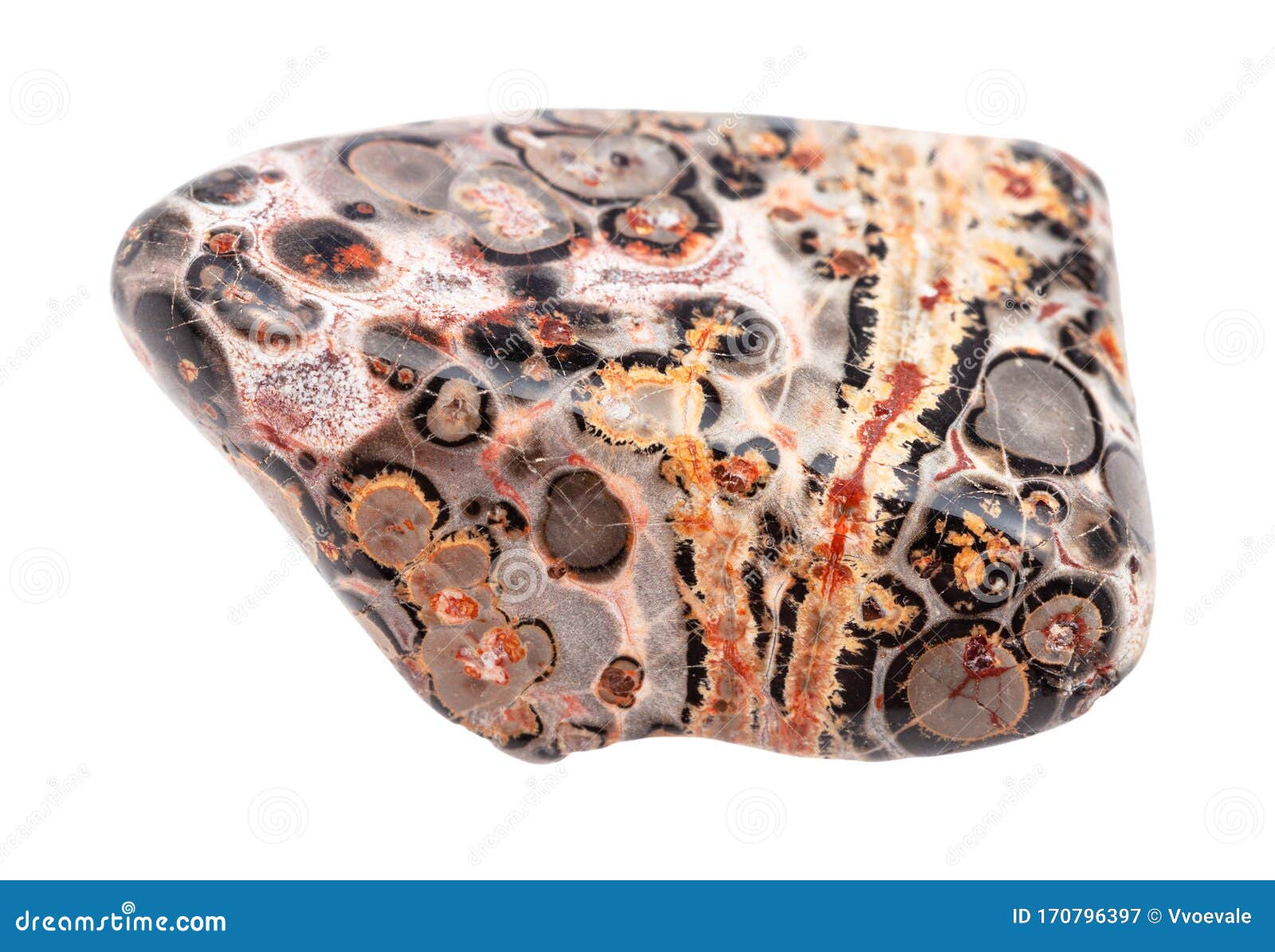 leopard skin jasper witchcraft leopard skin jasper witchcraft