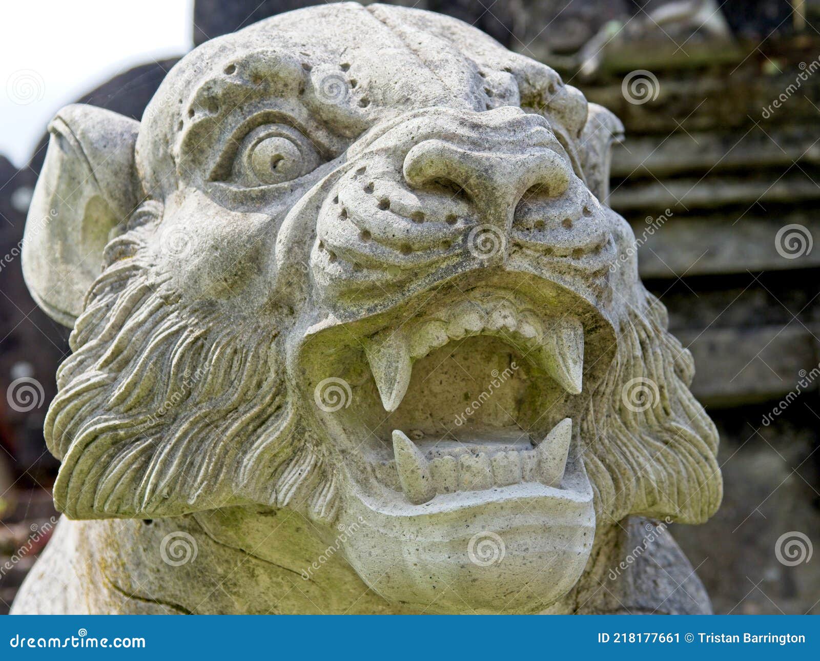 Closeup of Scary Tiger Statue Bali, Indonesia Stock Image Image of