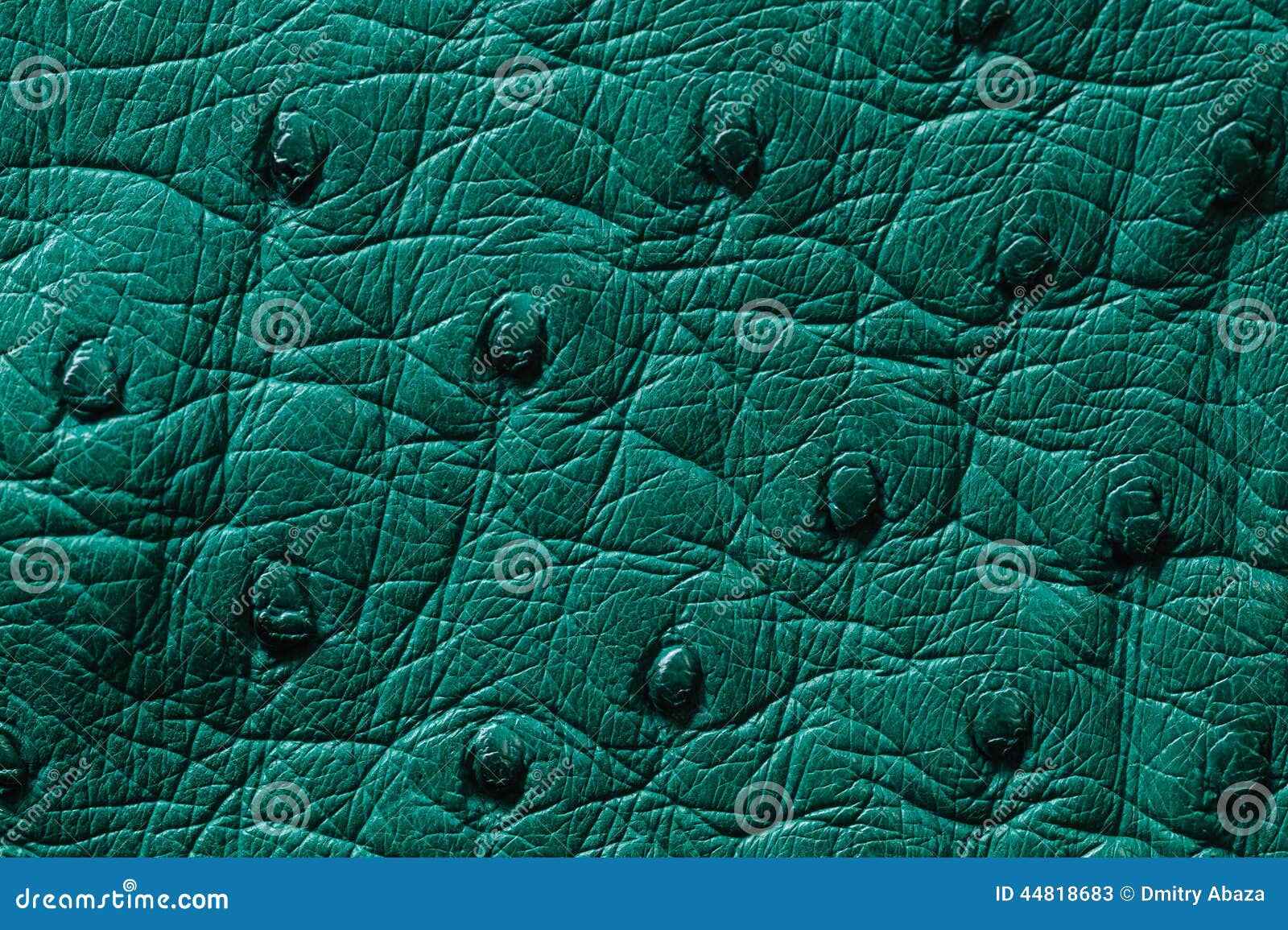 Closeup Of Seamless Green Leather Texture Stock Image Image of layer