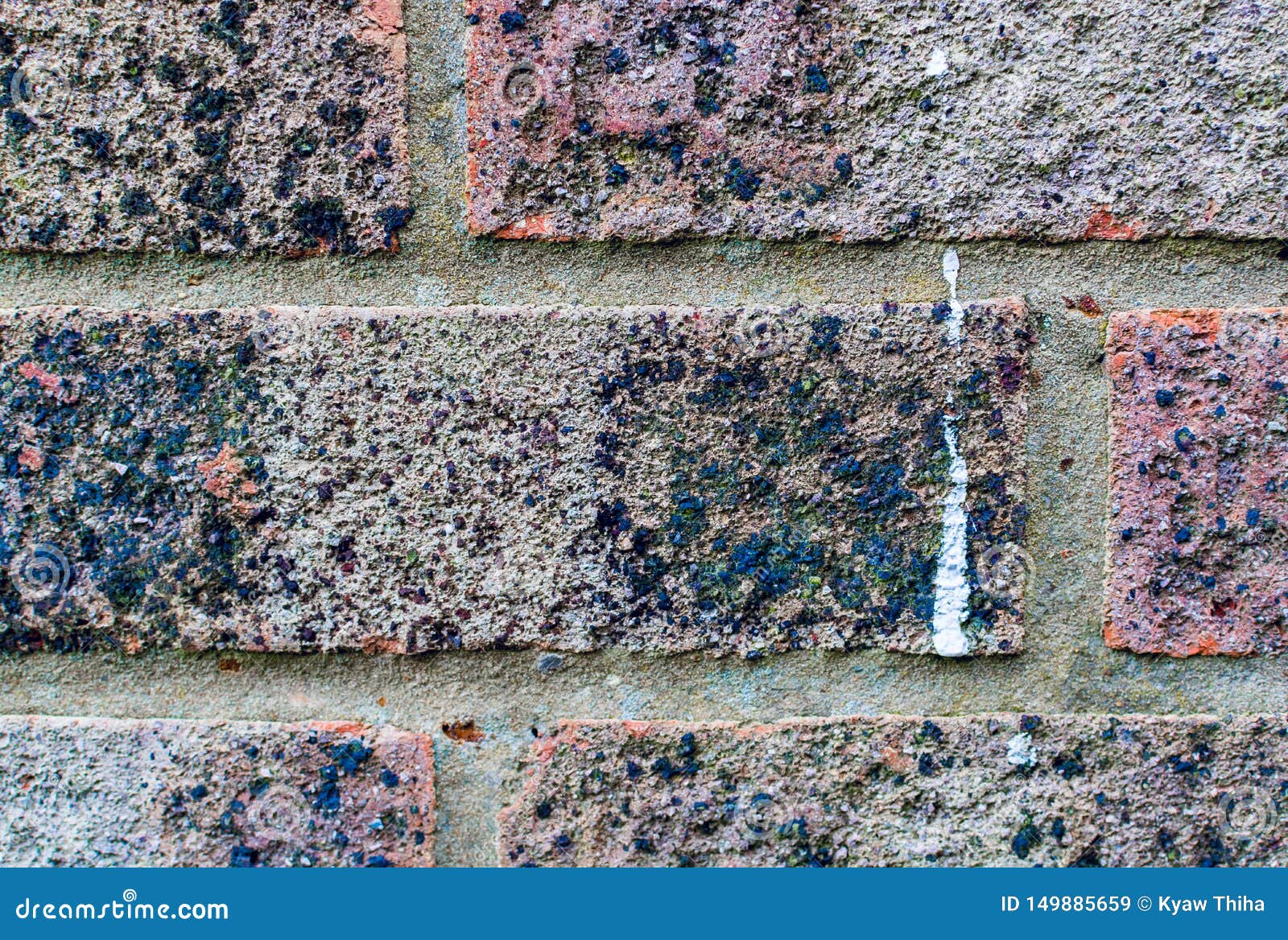 Closeup Section of a Brick Wall Stock Image Image of branch, ripple