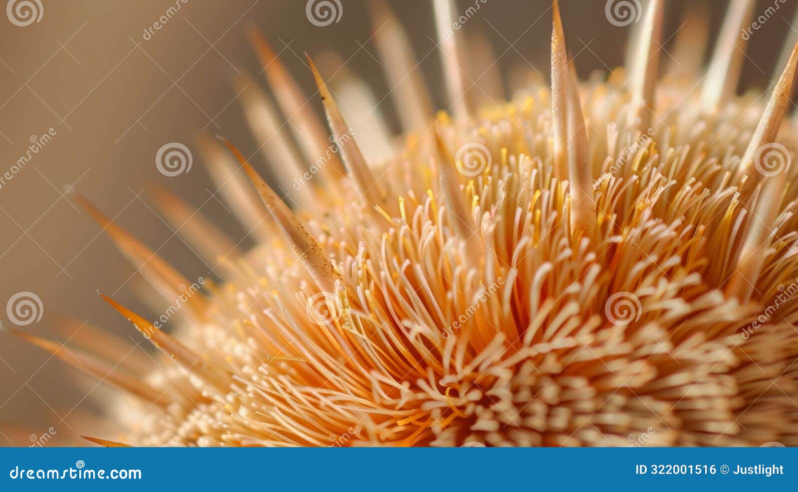 a closeup of a section of a bristly brush bristle showing off its almost spiky texture and tapered pointed tip