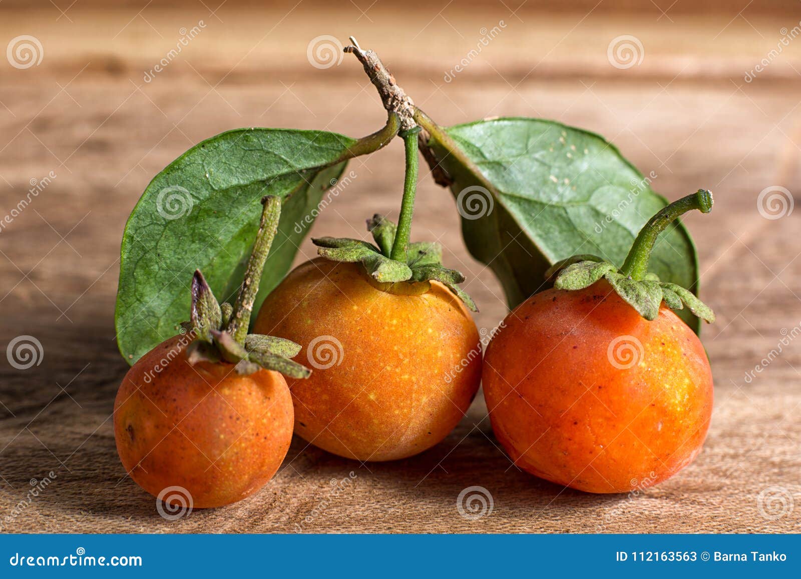 Wild Sour Cherry Variety in Ecuador Editorial Stock Photo - Image of ...