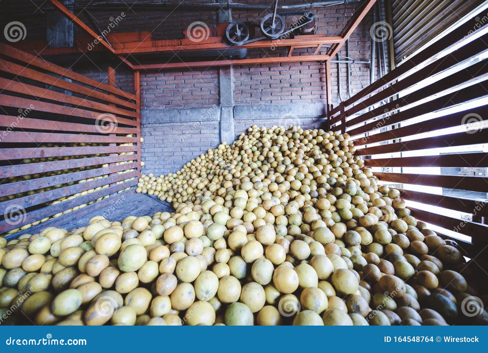 Closeup Shot of Fruits in the Warehouse Stock Photo Image of freezer