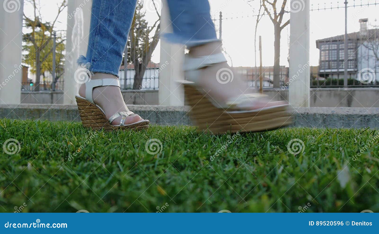 Walking legs grass footwear hi-res stock photography and images - Page 5 -  Alamy