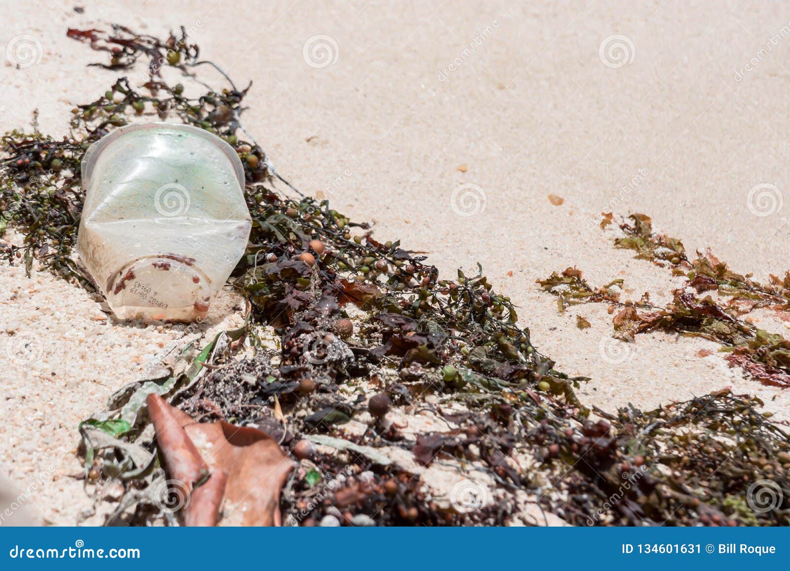 A Closeup Shot Macro Photo of a Plastic Cup Being Thrown at the Sand in ...