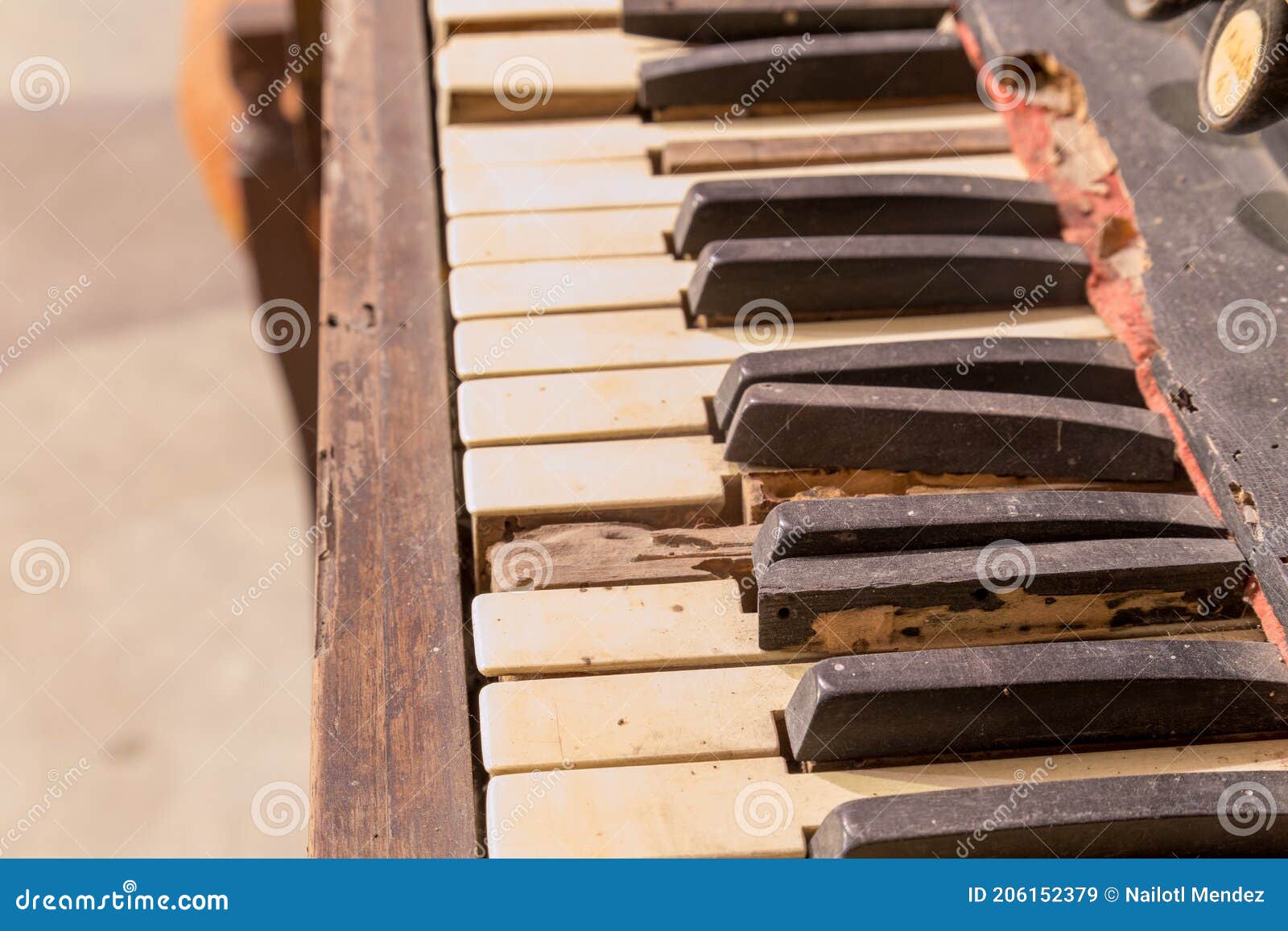Rust songs piano фото 12
