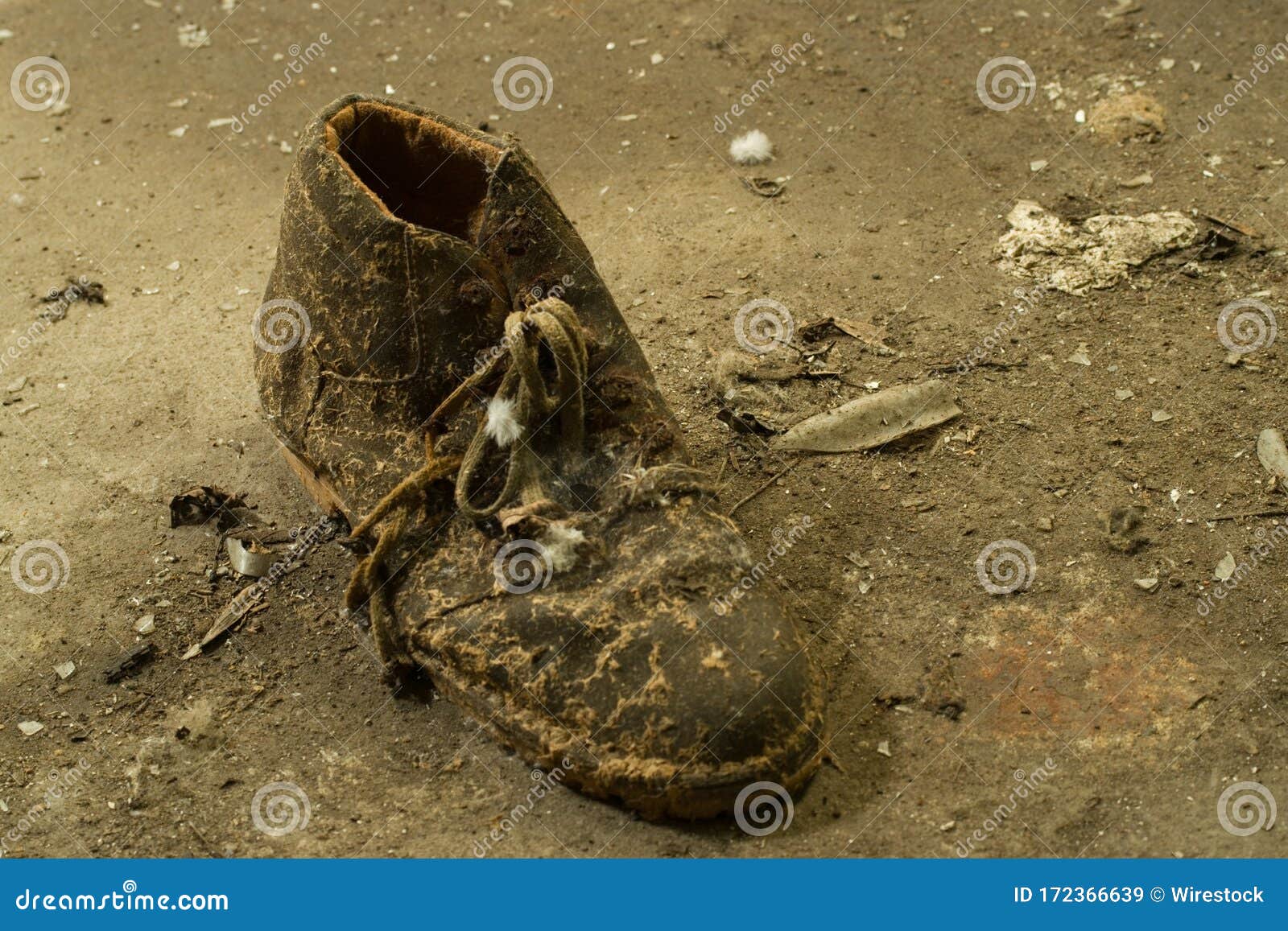 Closeup Shot of an Old Worn Out Dirty Shoe on the Ground Stock Image ...