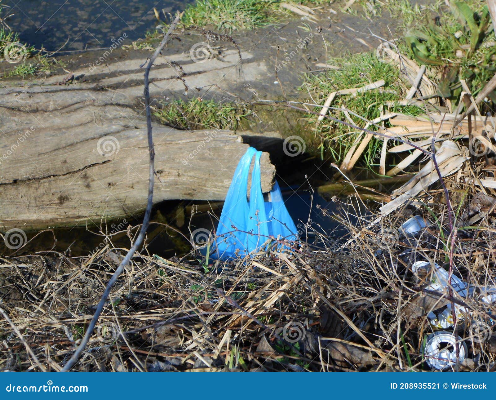 Closeup Shot of Plastic and Polystyrene Rubbish and Dirty Environment