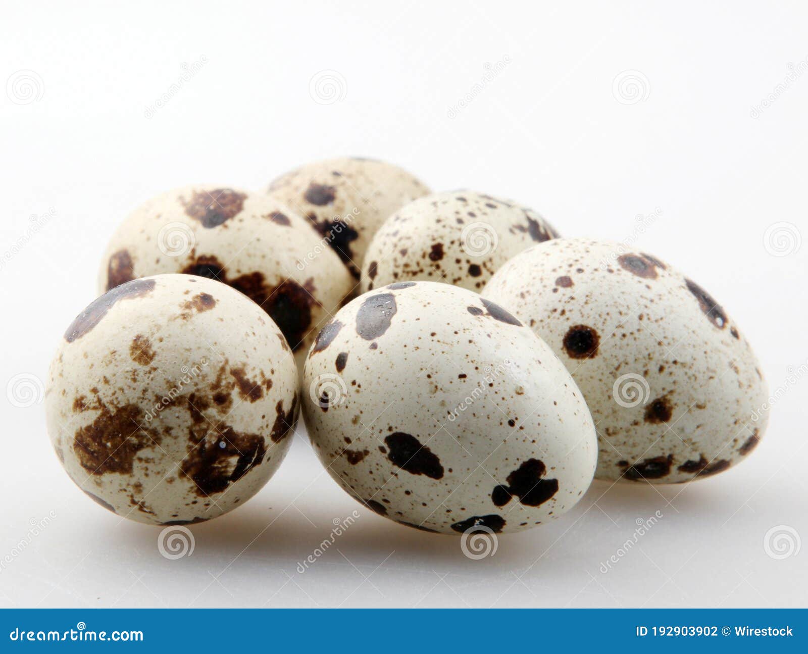 Closeup Shot of the Quail Eggs with Brown Spots on the White Surface