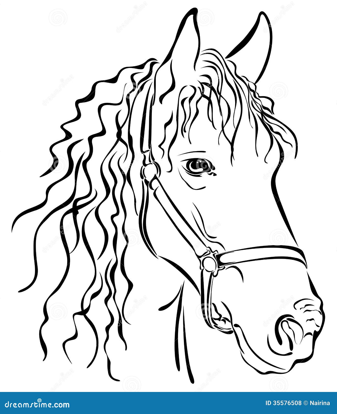 Closeup Sketch Of Horse Royalty Free Stock Photos - Image: 35576508