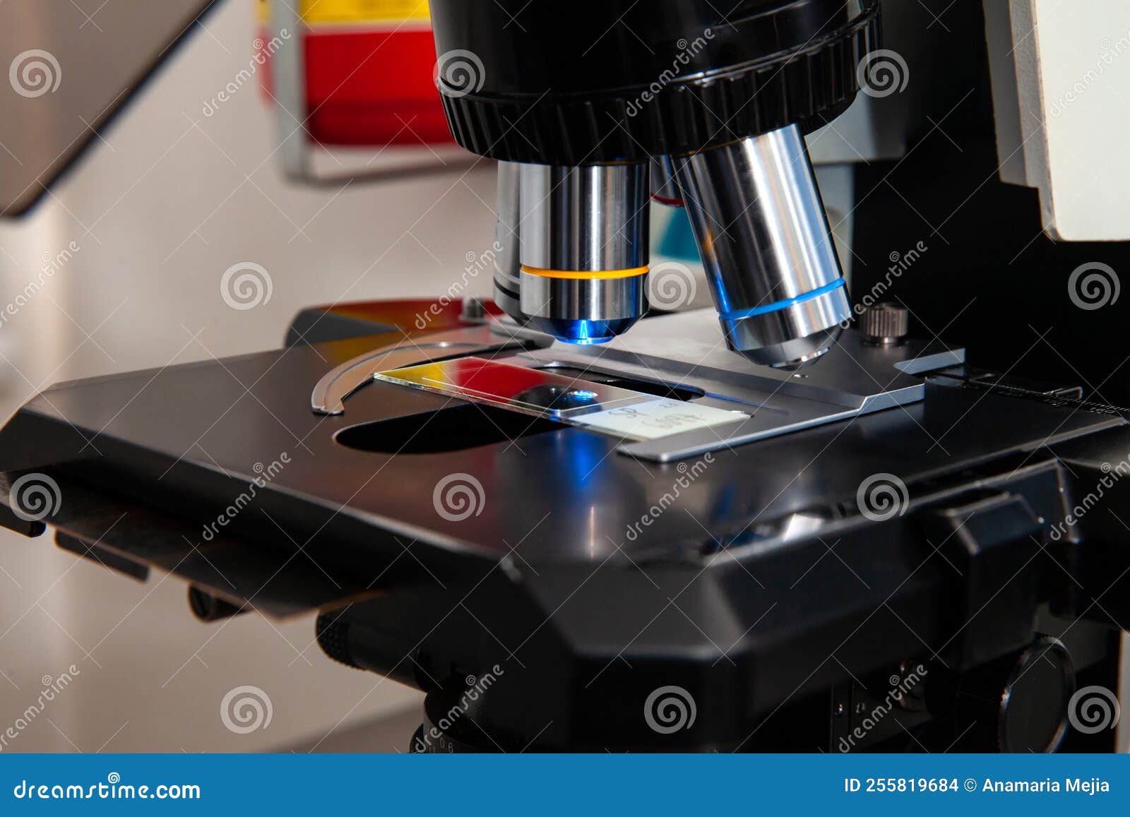Fluorescence Microscope Image Of Cells Undergoing Mitosis Stock Photo ... Biology Diagrams