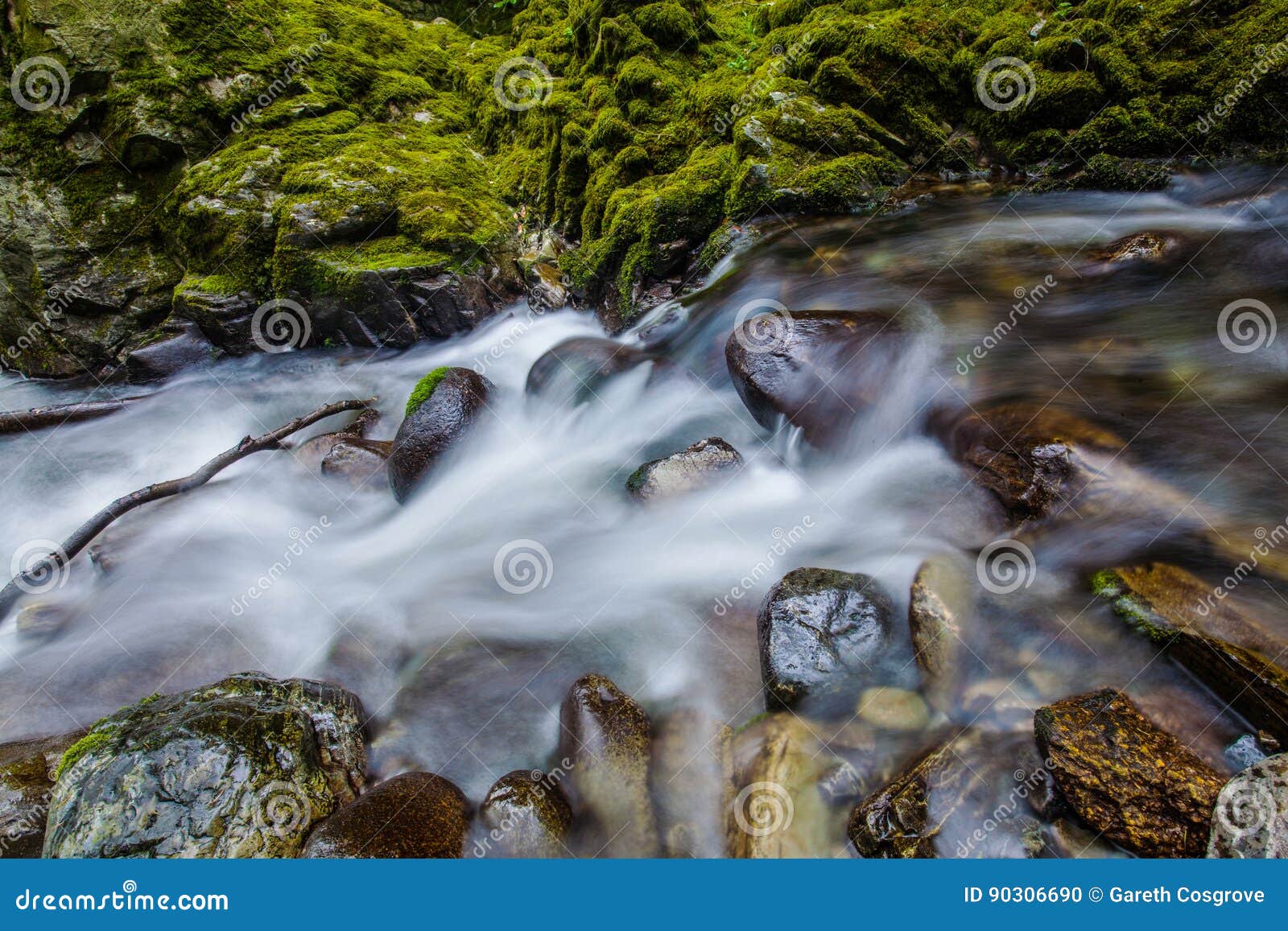 Closeup of stream in Tollymore Forest. Closeup of stream and rocks and mosses in Tollymore Forest National Park, Newcastle, County Down, Northern Ireland.