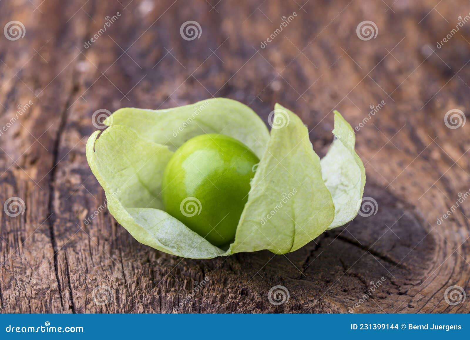 Tomatillo stock photo. Image of fruit, mexico, edible 231399144