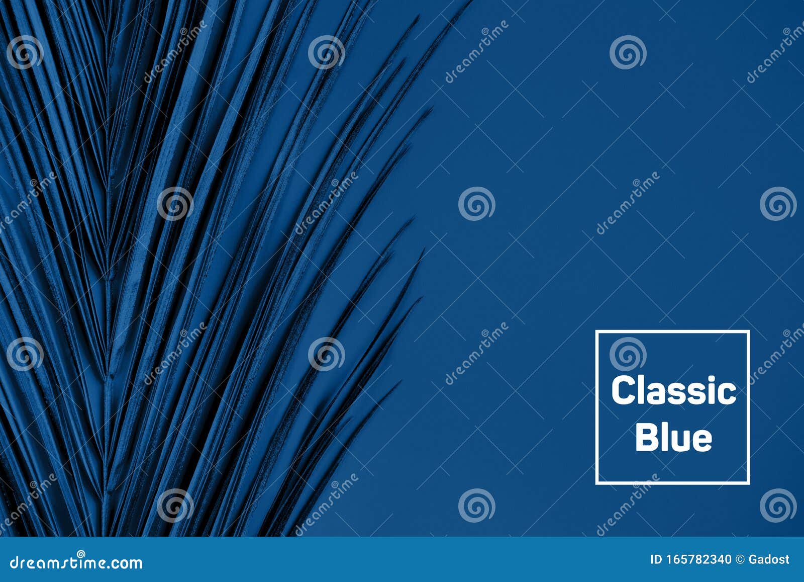 Closeup of Blue Palm Leaf on Blue Background Stock Photo - Image of