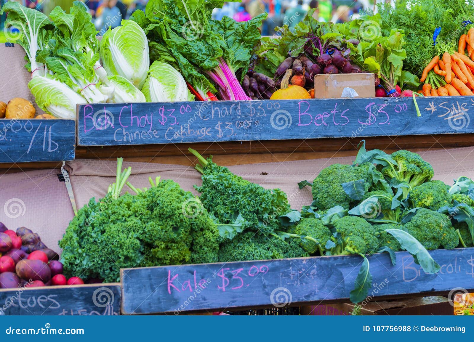 Vegetable Identification Chart