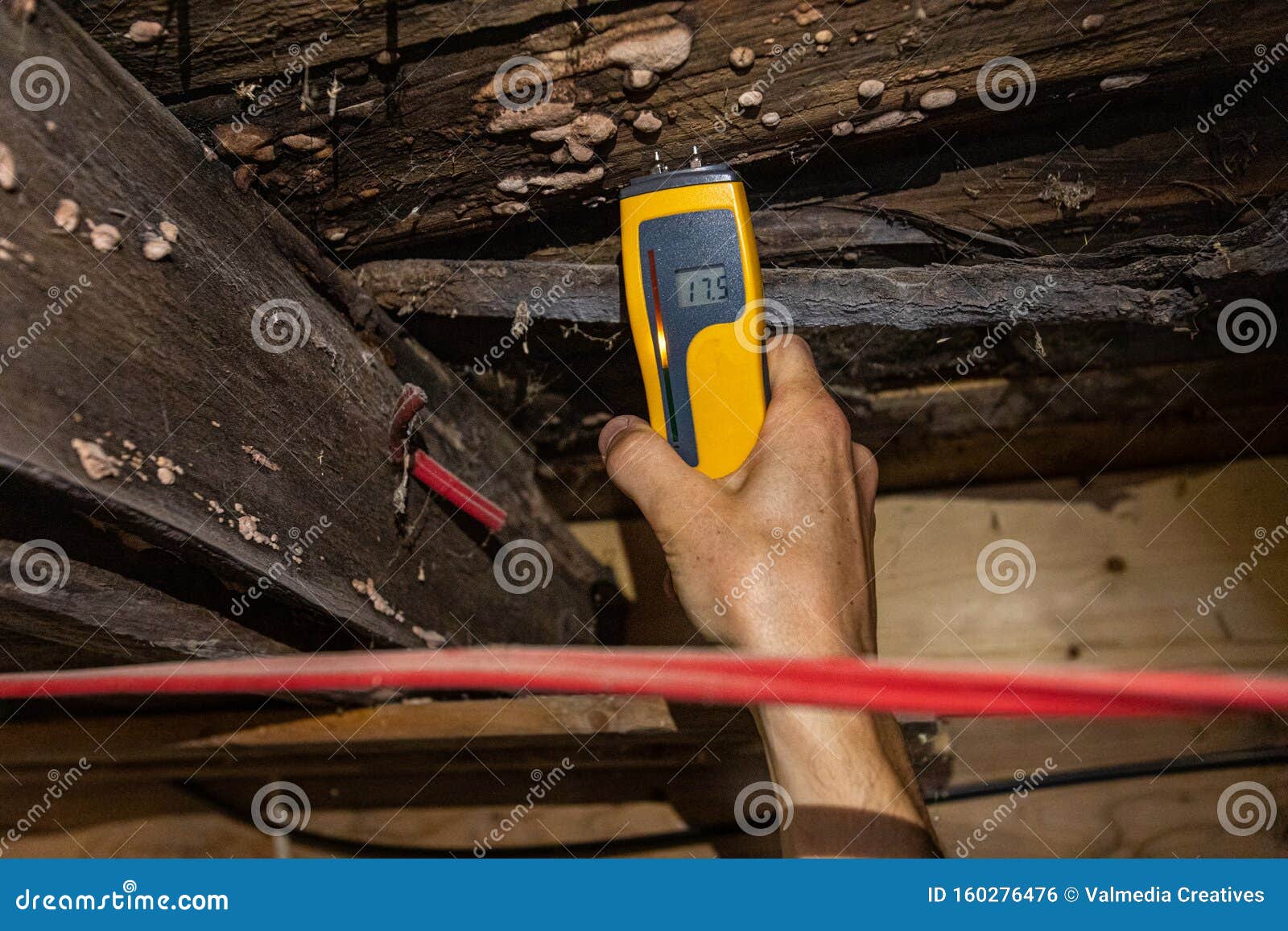 indoor damp & air quality iaq testing.