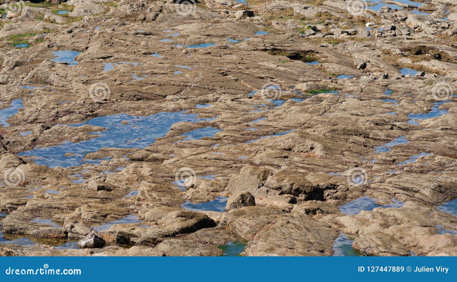 Closeup view of rocks and water pools on seashore for background