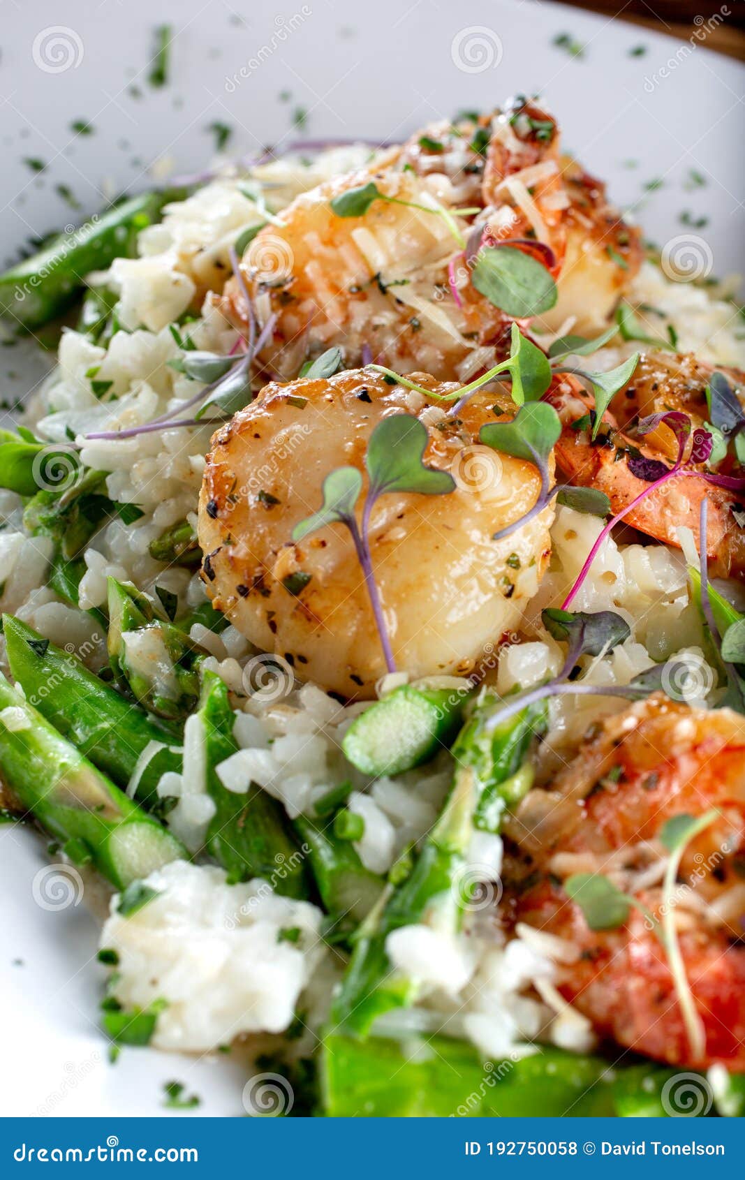 Seafood veg risotto stock photo. Image of merchandise 192750058
