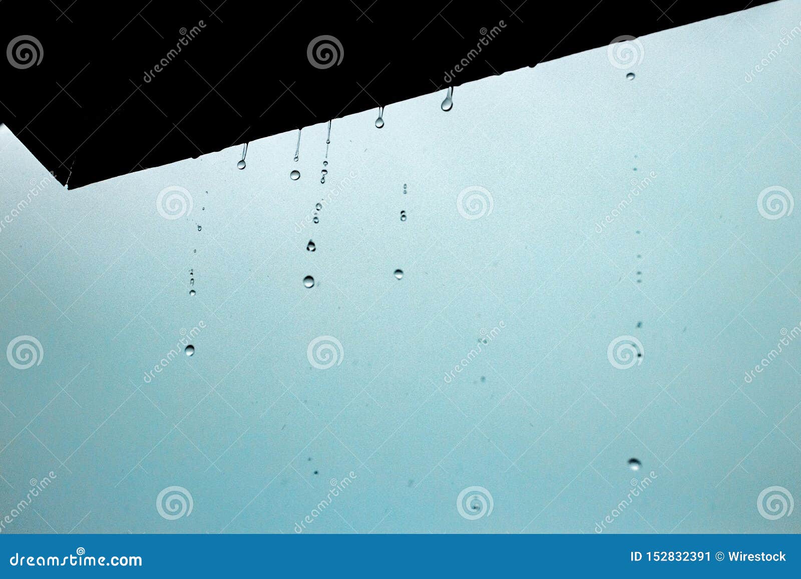 Closeup of Water Drops from the Ceiling Stock Image Image of adult