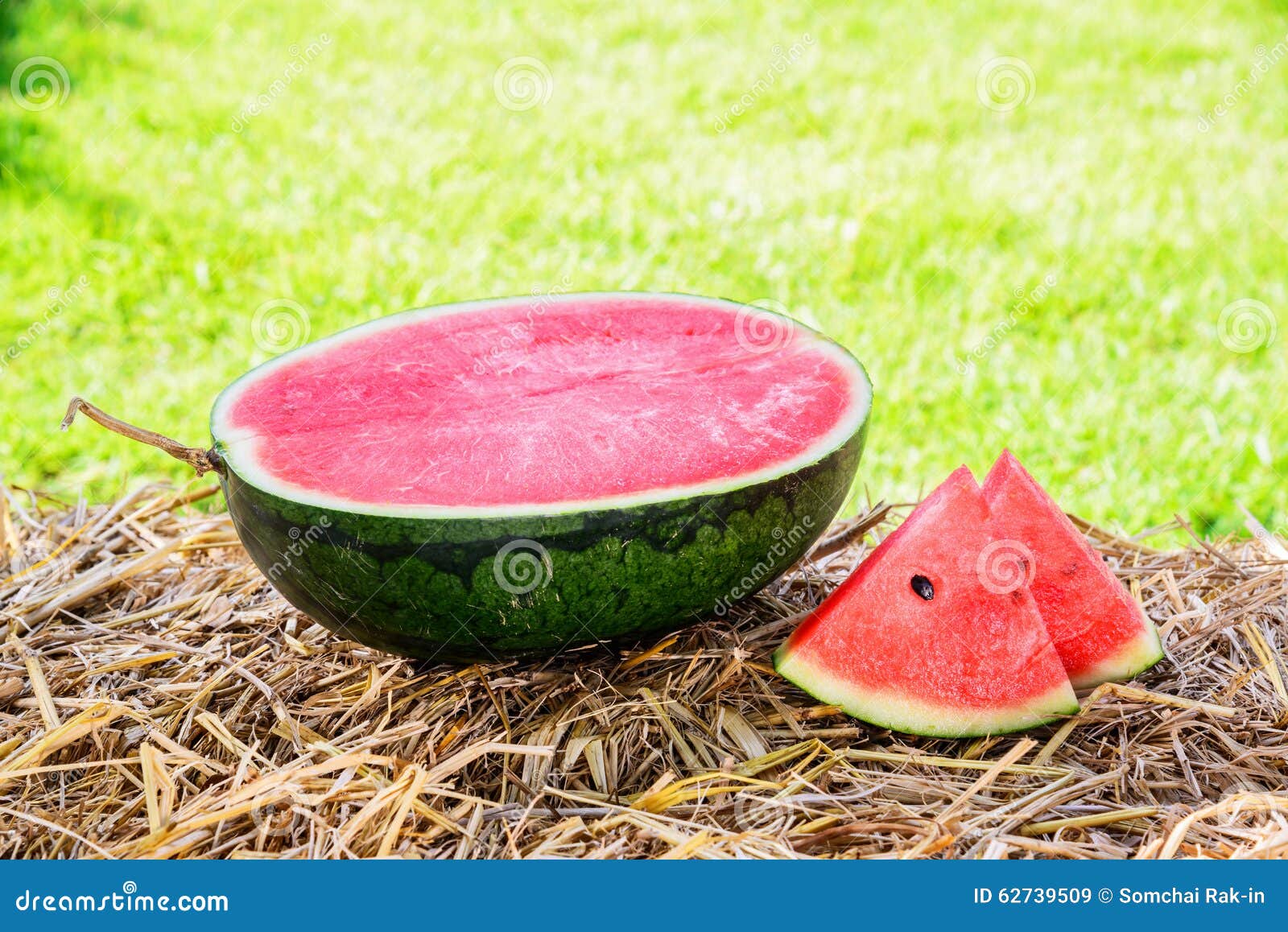 Closeup of Watermelon on Yellow Straw Stock Image Image of