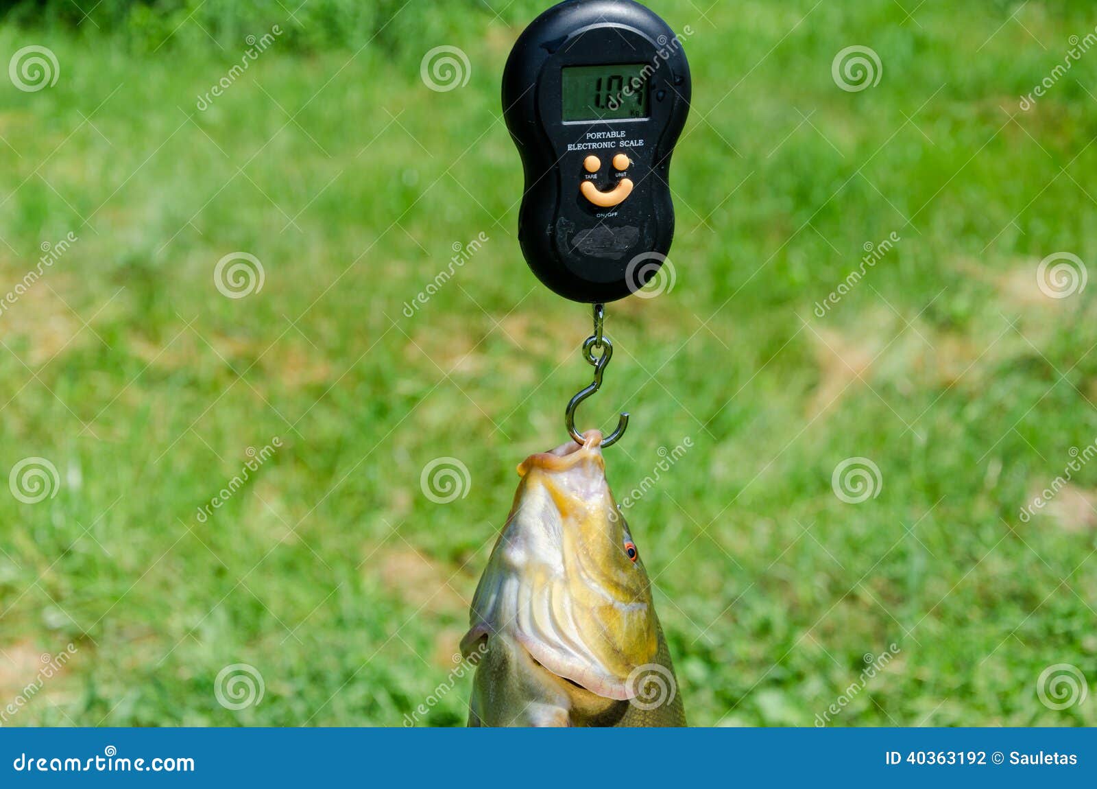 https://thumbs.dreamstime.com/z/closeup-weights-shiny-big-tench-fish-weight-scale-40363192.jpg