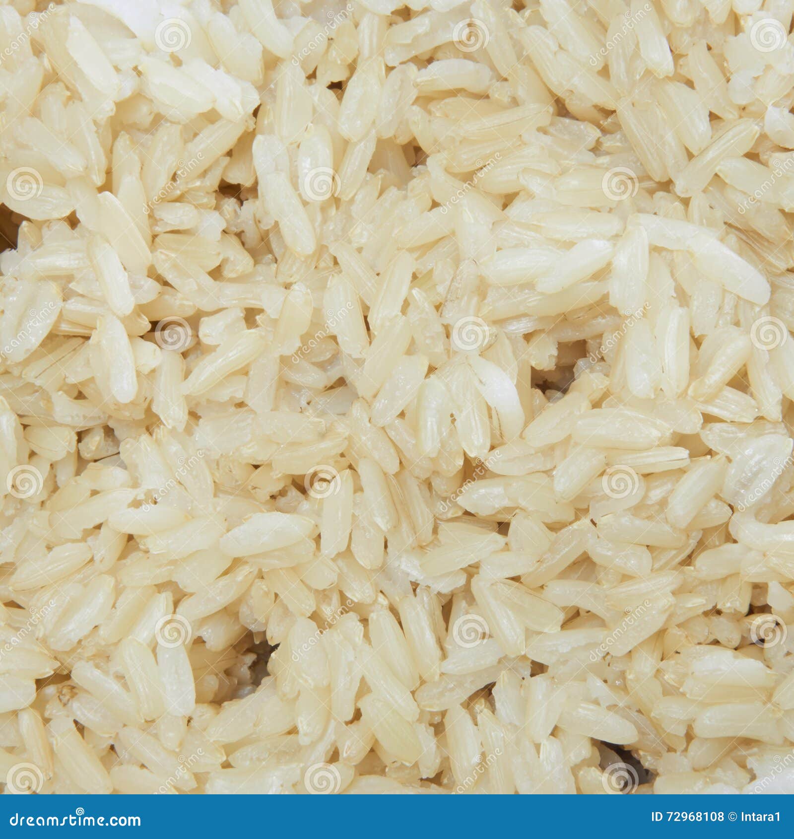 Closeup of Well Cooked Jasmine Brown Rice Texture Stock Photo Image
