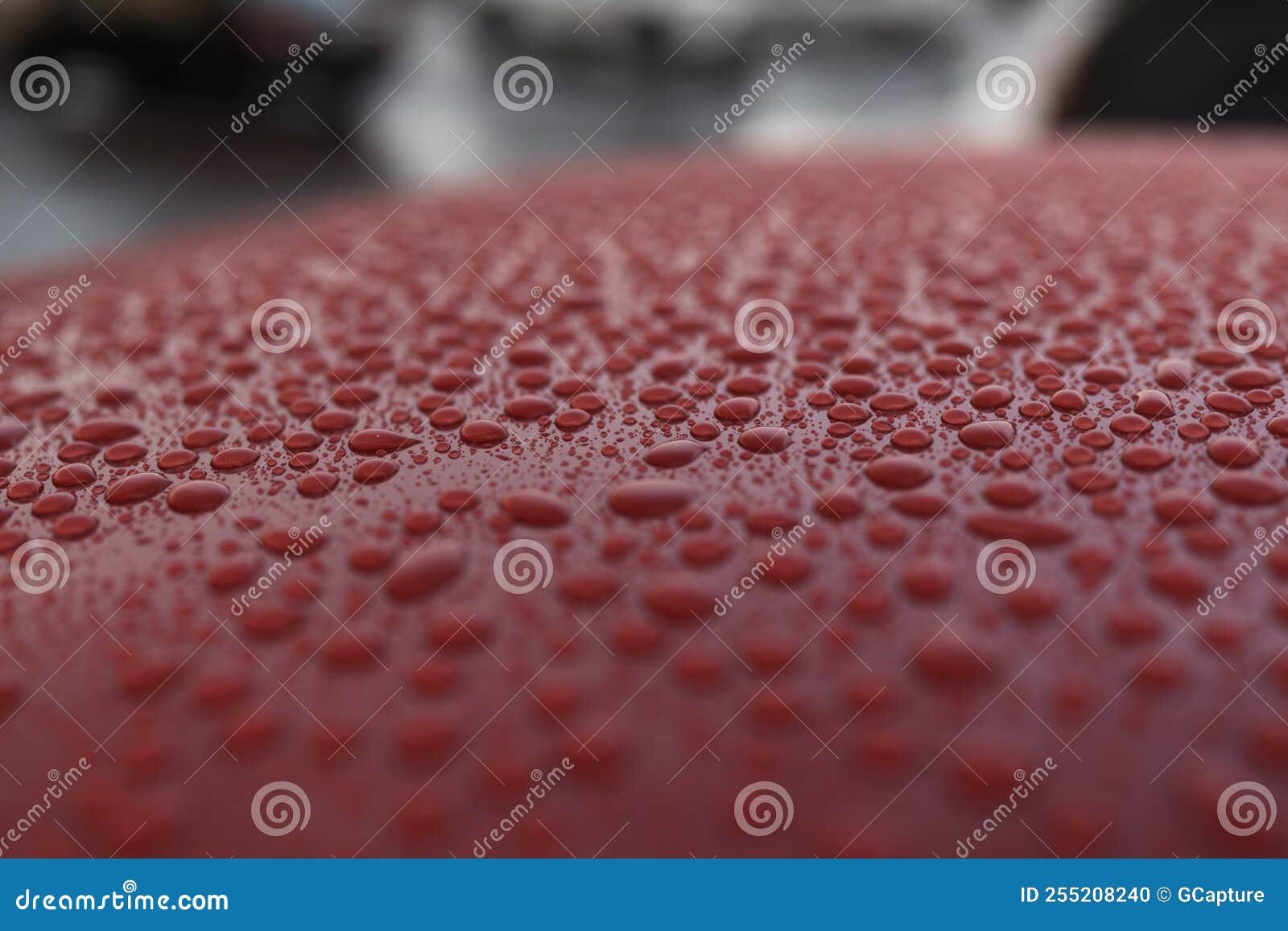Closeup Wet Red Car Paint Surface with Hydrophobic Ceramic Coating Stock Photo Image of drop