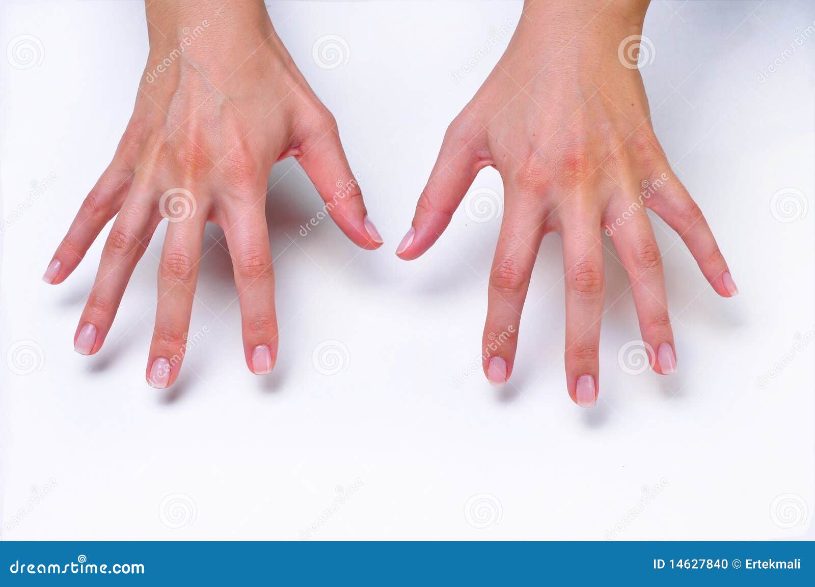 Closeup Woman's Hands Facing Down Stock Photo - Image: 14627840