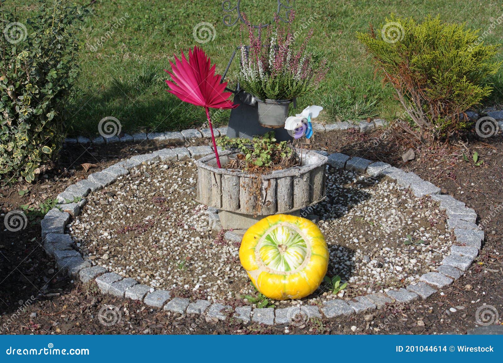 closeup of a yellow pumpkin on the unkept garden bed