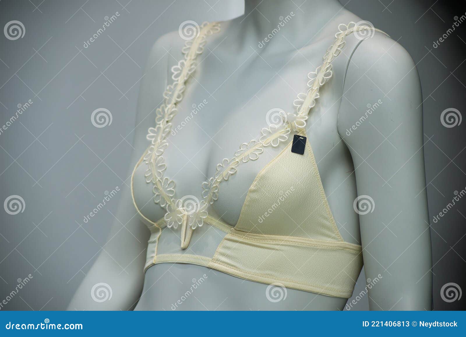 Yellow Transparent Bra on Mannequin in a Fashion Store Showroom