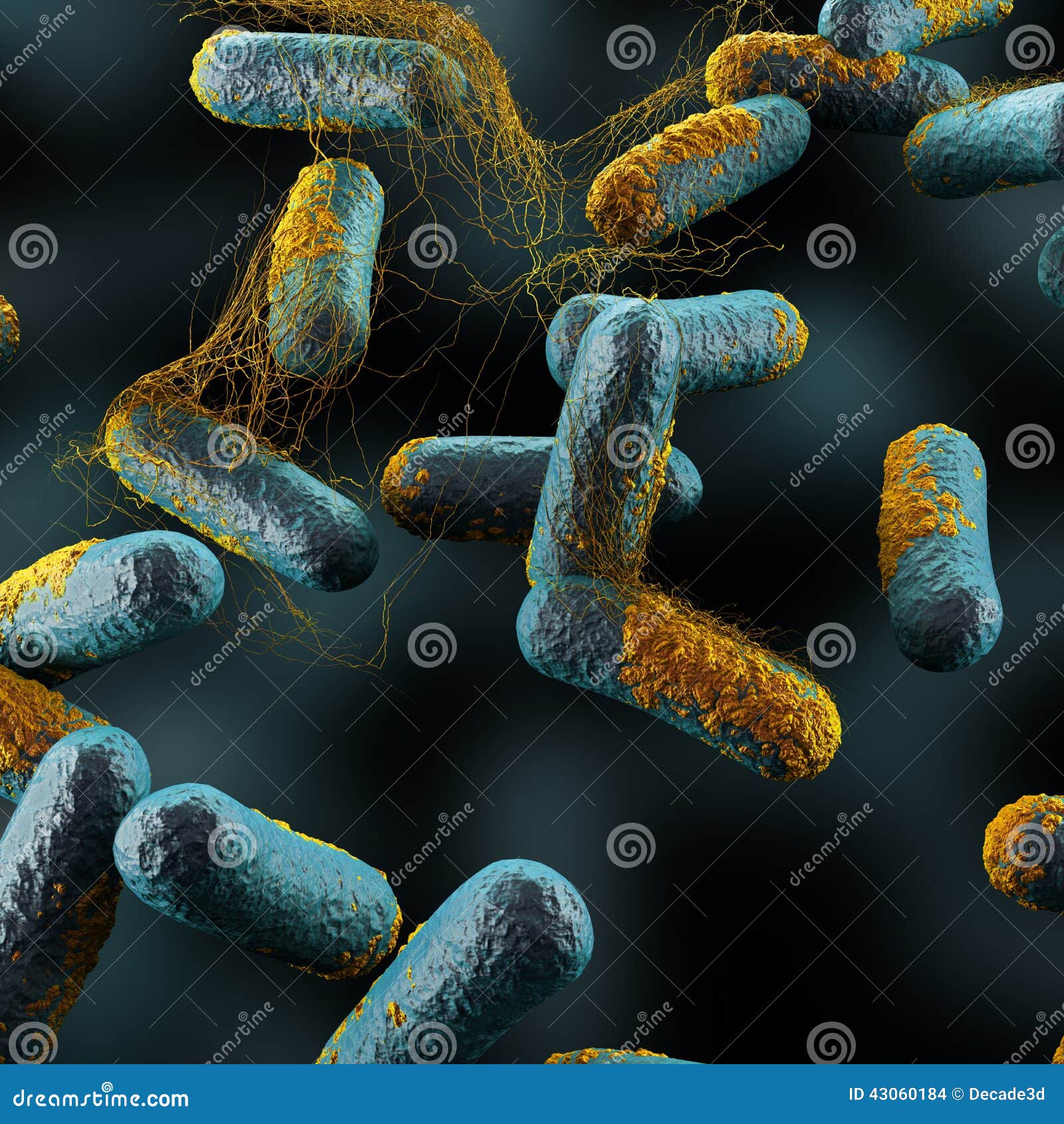 clostridium perfringens bacteria
