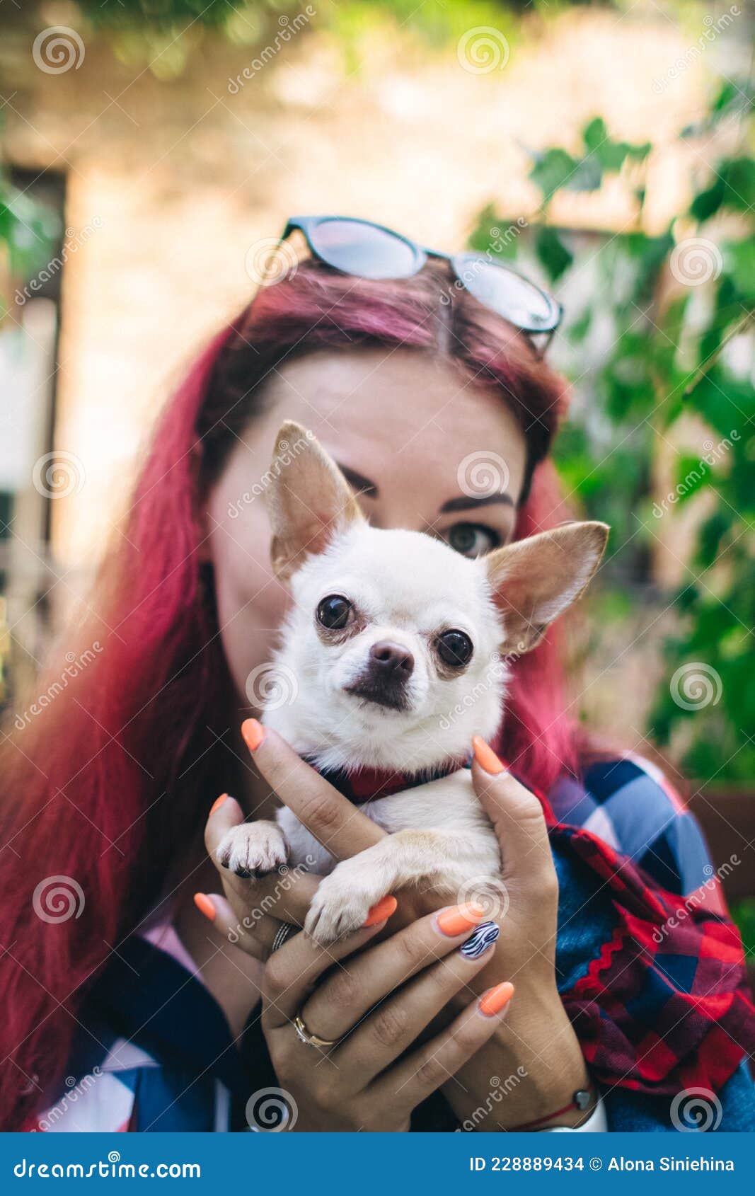Animals Free Kissing Stock Photos - Free & Royalty-Free Stock Photos from Dreamstime Animals Free Kissing Stock Photos - Free & Royalty-Free Stock Photos from Dreamstime