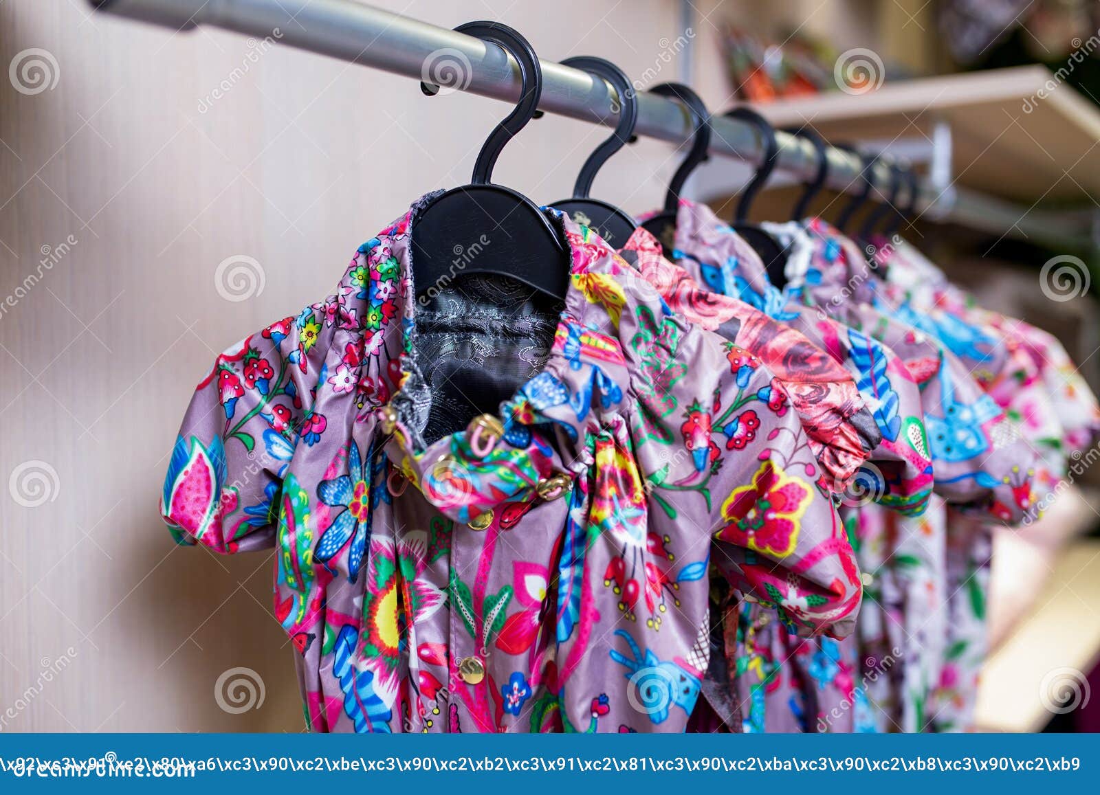 Clothes for Dogs on a Hanger in the Store. Stock Photo Image of