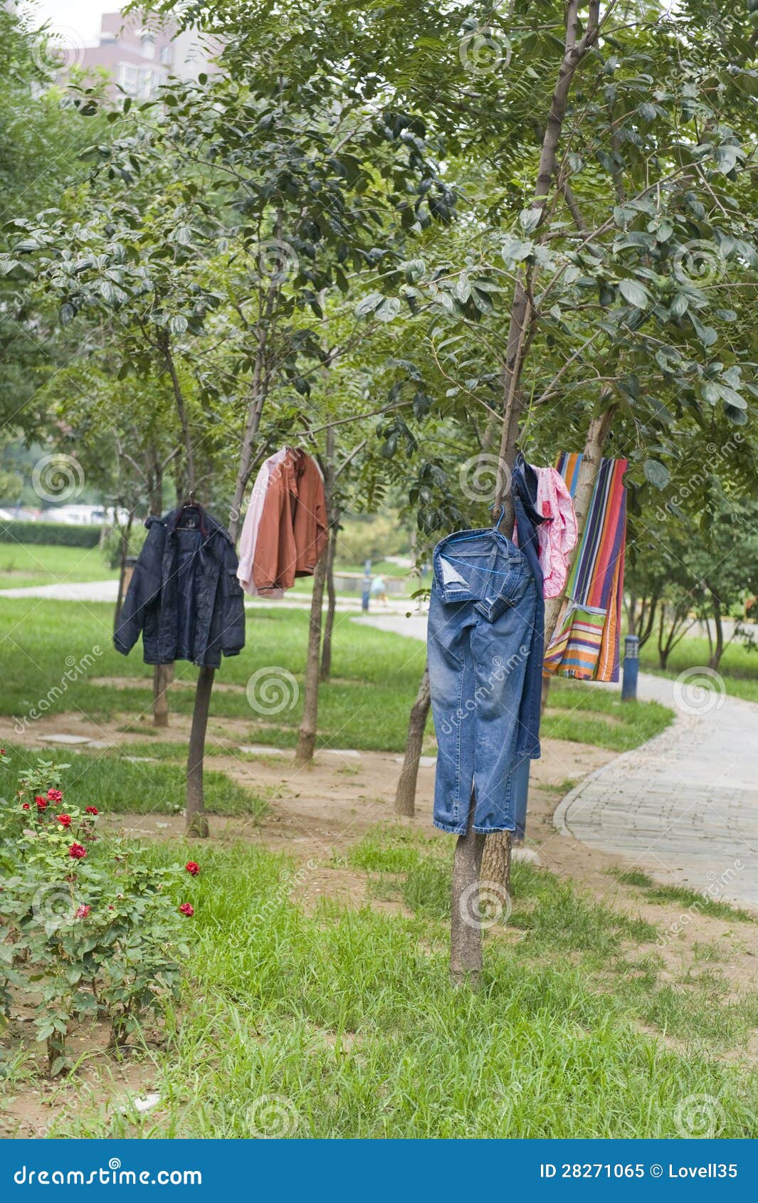 Clothes drying outside stock image. Image of garden, tree 28271065