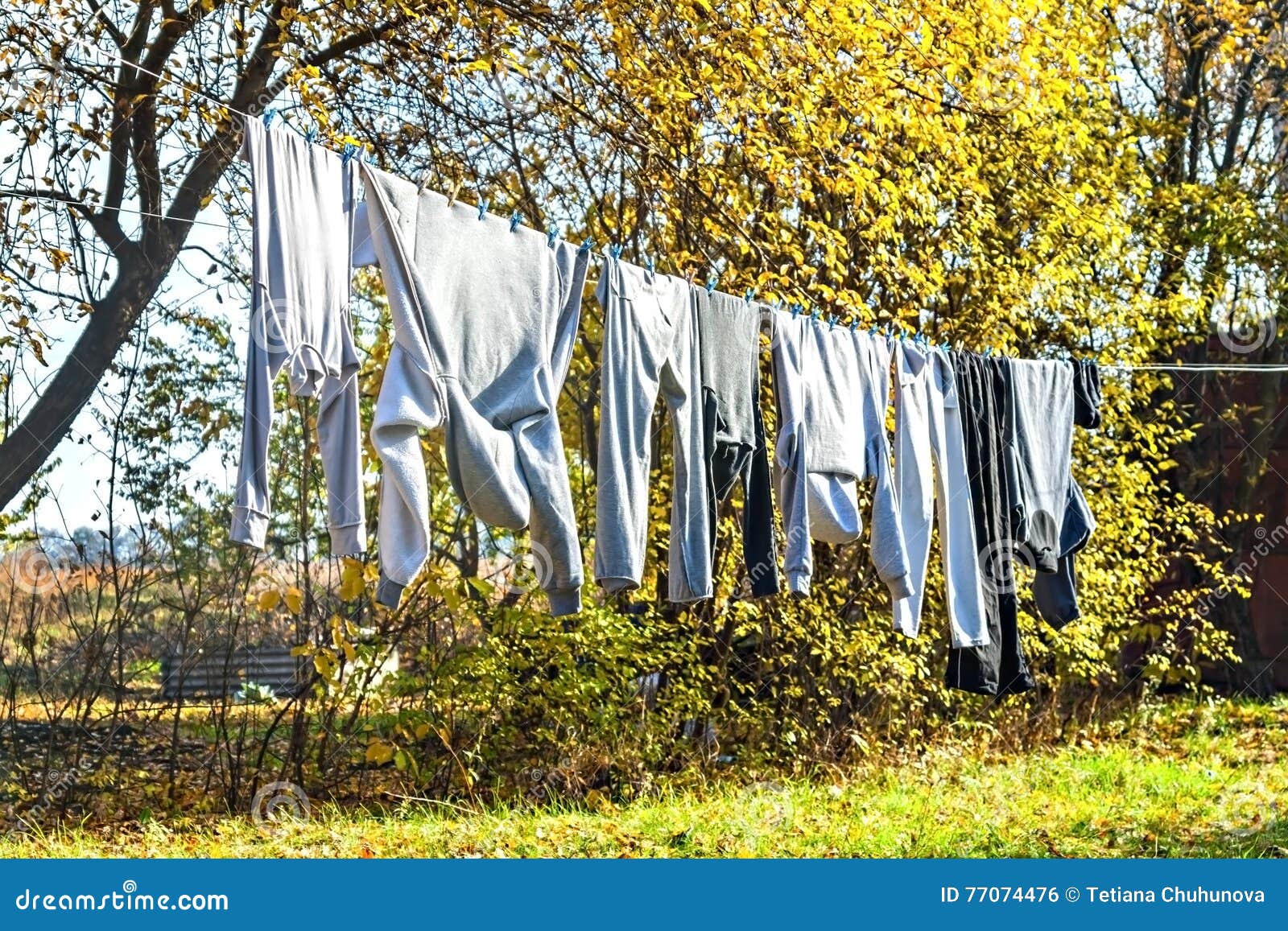 Clothes Drying on a Rope between Trees in the Autumn Stock Photo Image of clean, cleaning
