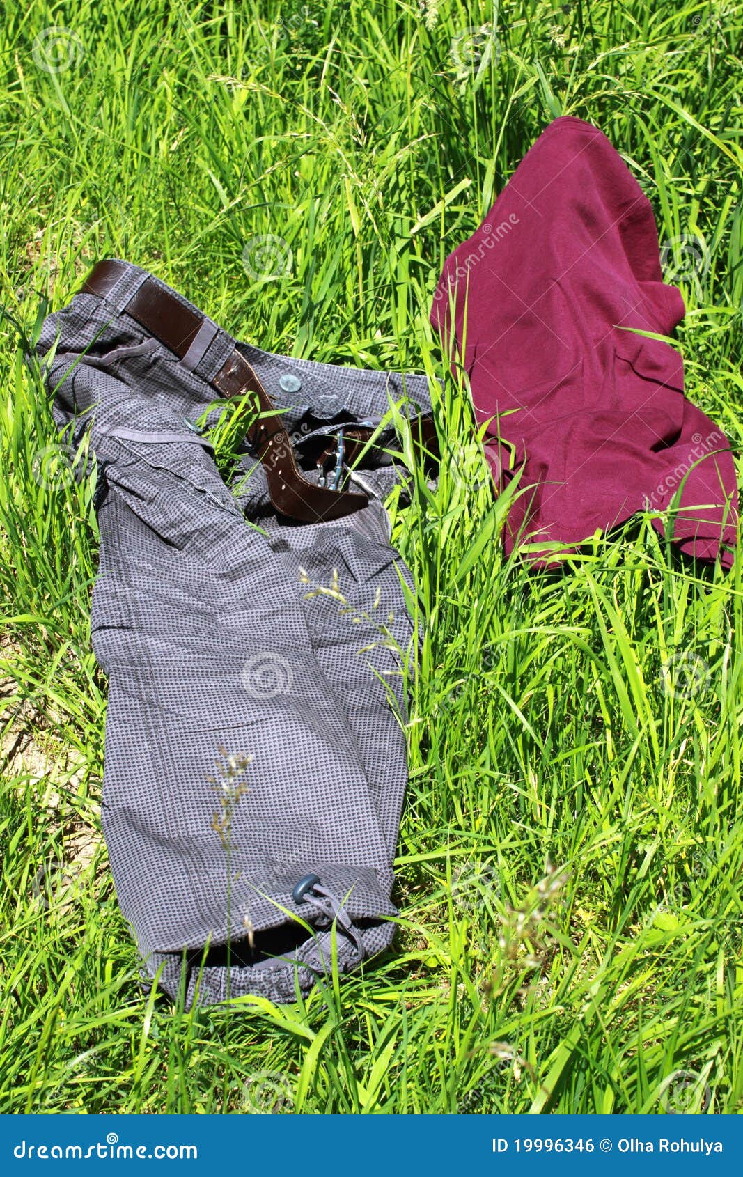 Clothes on the grass stock photo. Image of nature, grass 19996346