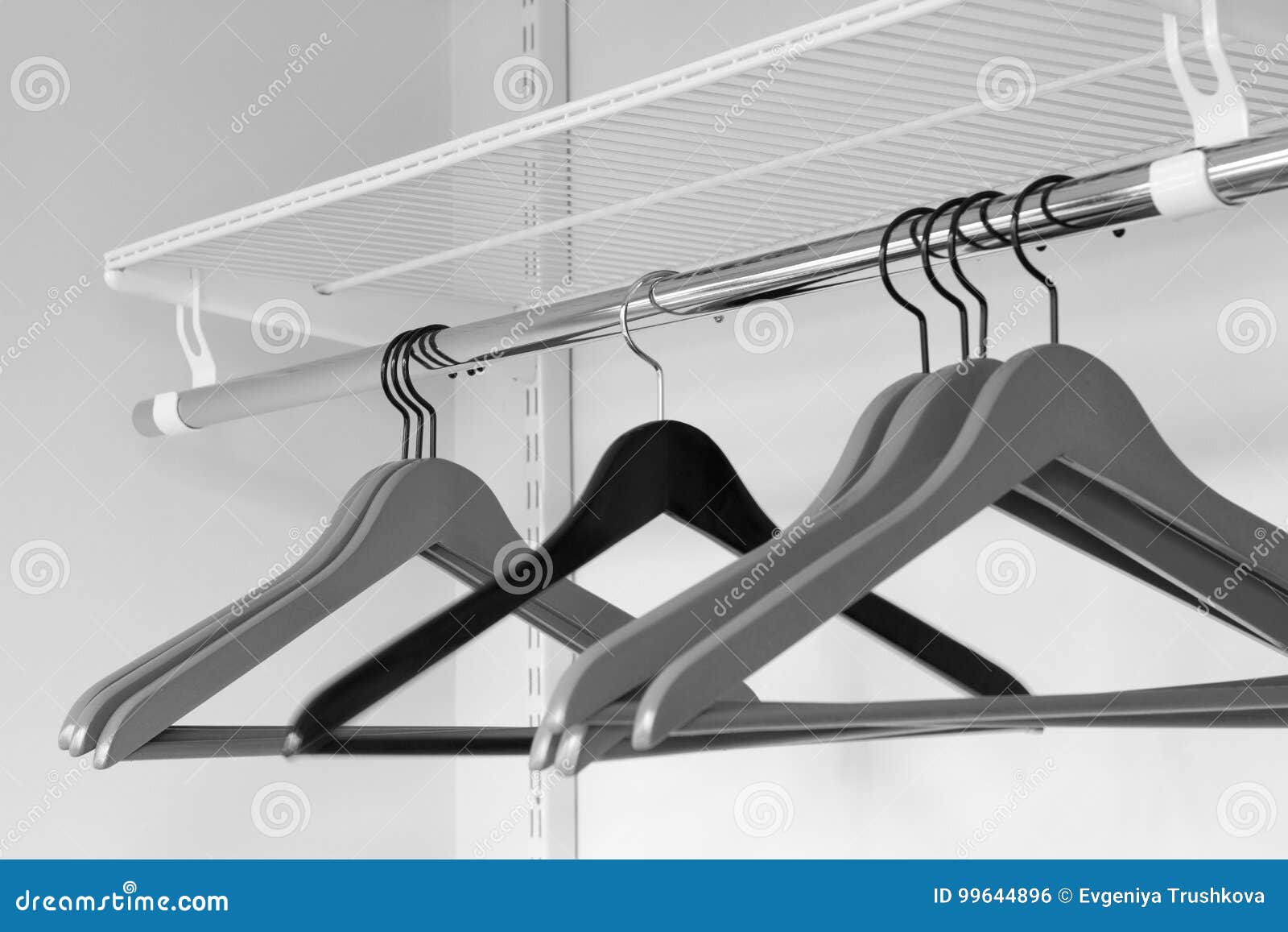 Clothes Grey Hangers in Empty Wardrobe Stock Photo Image of hang