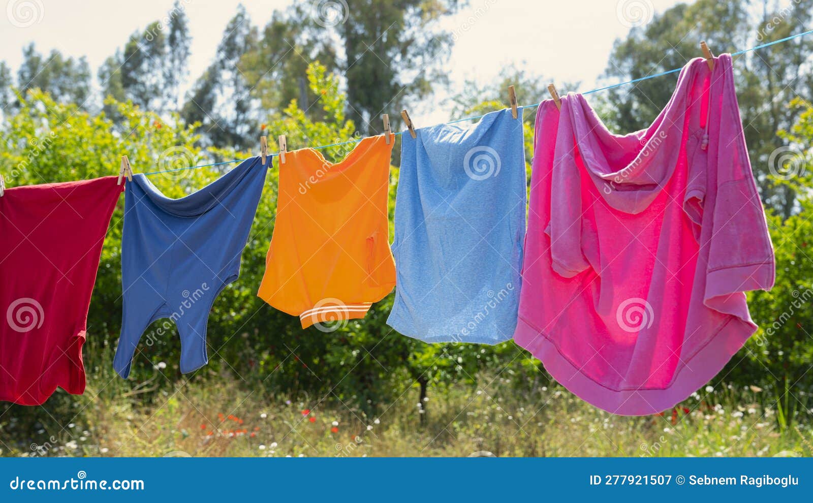 Clothes Hanging To Dry on a Laundry Line Stock Image Image of green