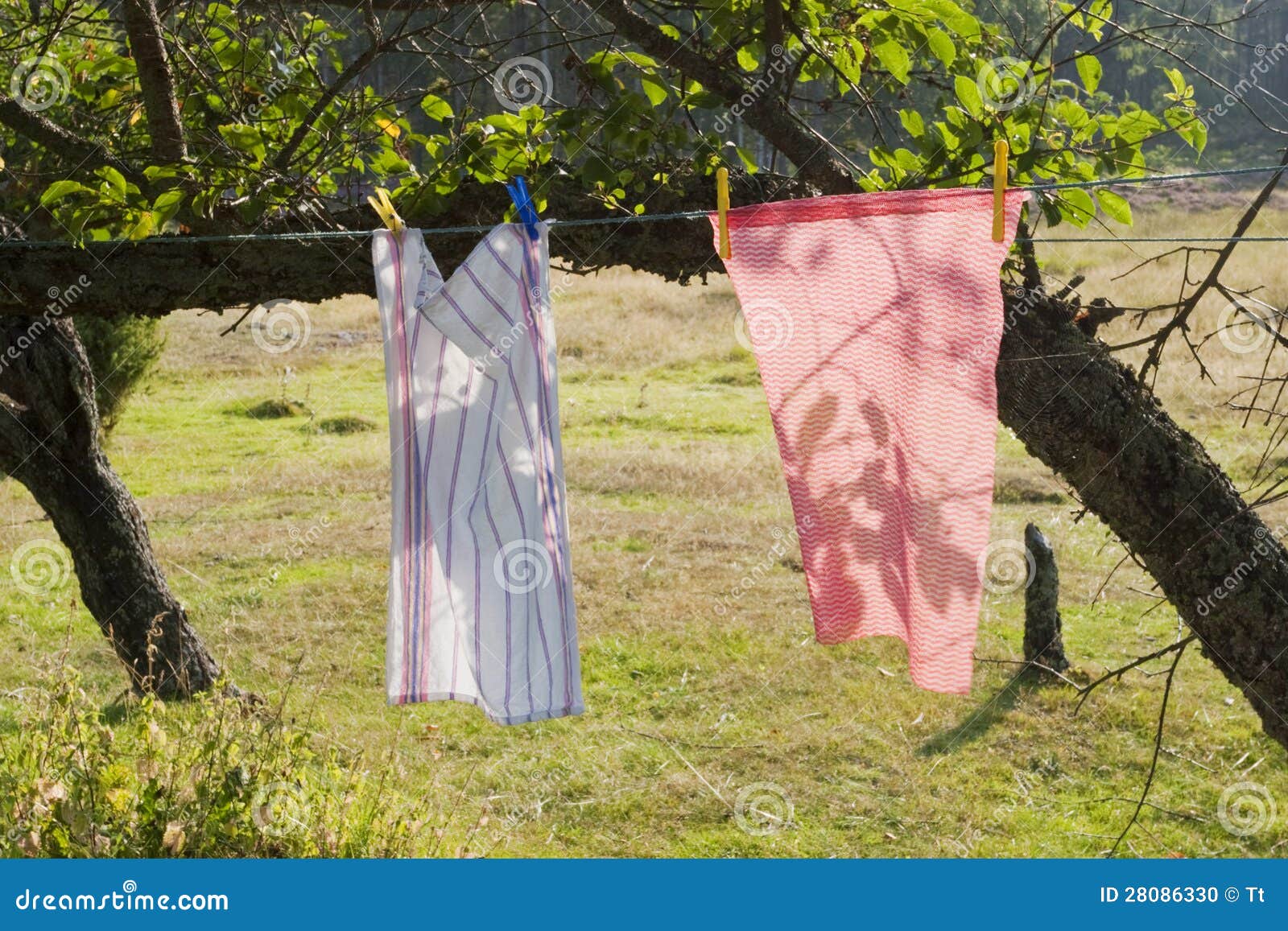 Clothes lines stock photo. Image of drying, clothespin 28086330
