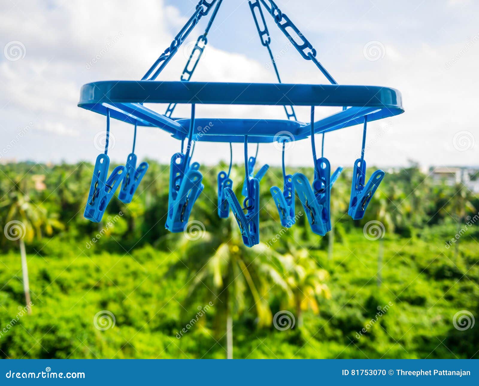 Clothes Peg,clothes Pin,clothes Line Stock Photo Image of hold