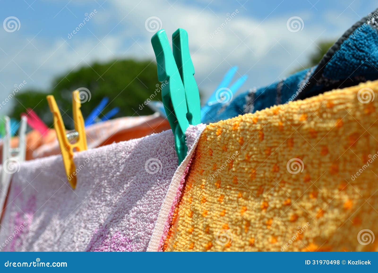 Clothes peg detail stock photo. Image of sunny, nature 31970498