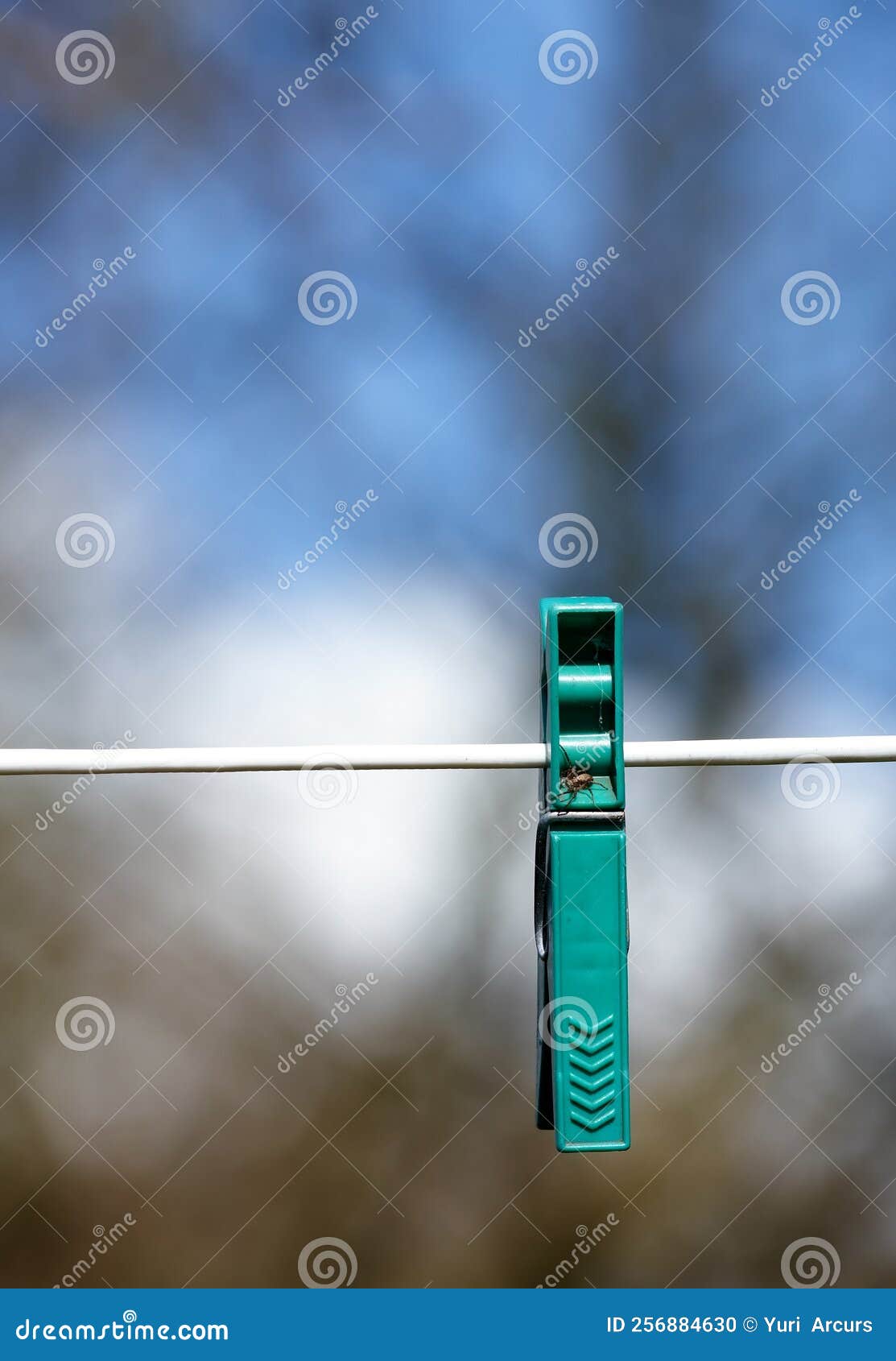 Clothes Peg on the Line. Macro Shot of a Single Peg Attached To a