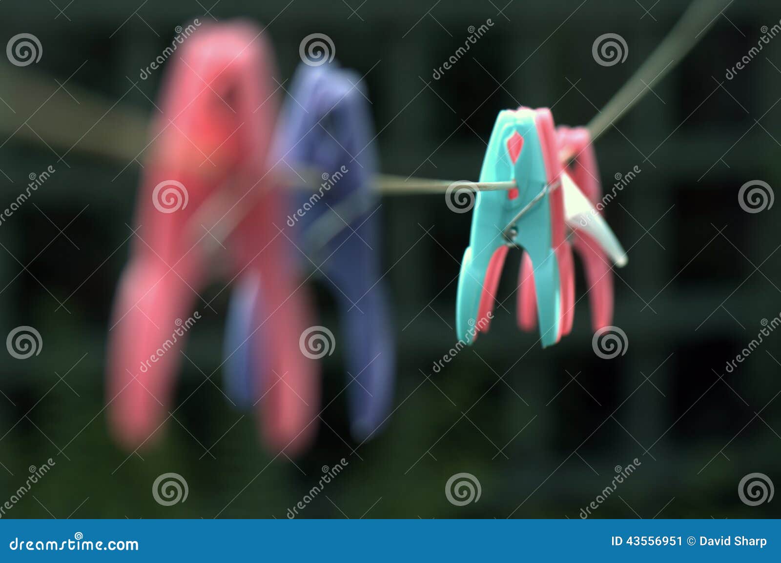 Clothes Pegs stock image. Image of washing, clothes, pegs 43556951