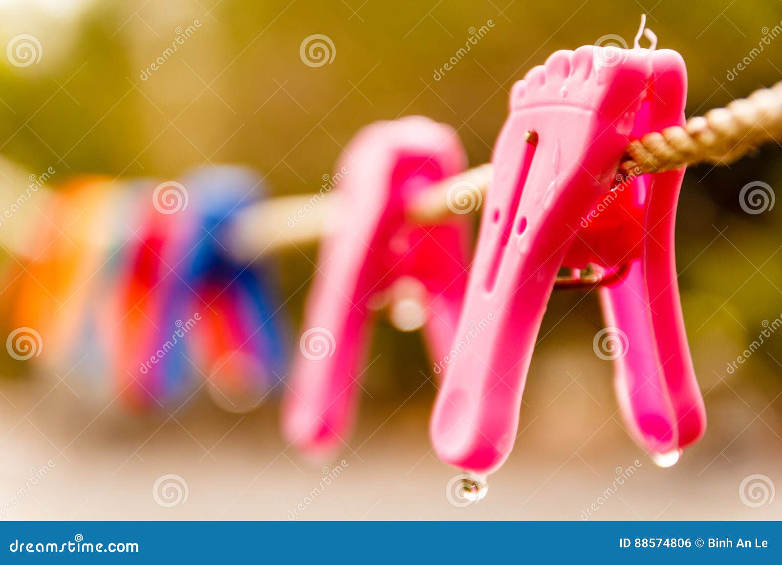 Clothes pins stock photo. Image of rain, pins, roge, clothes 88574806