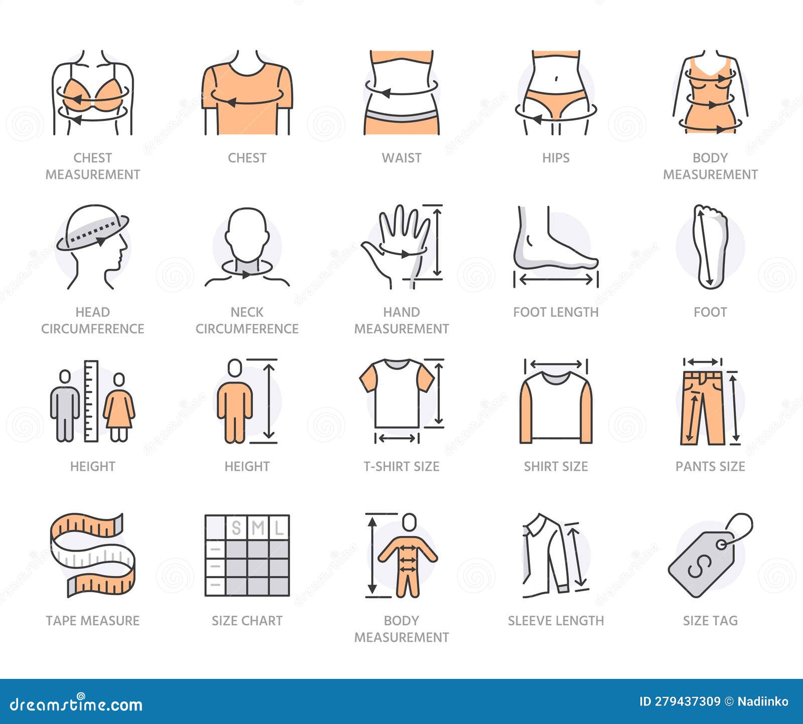 clothes size flat line icons set. body measurement - waist circumference, hip, chest, sleeve length, height 